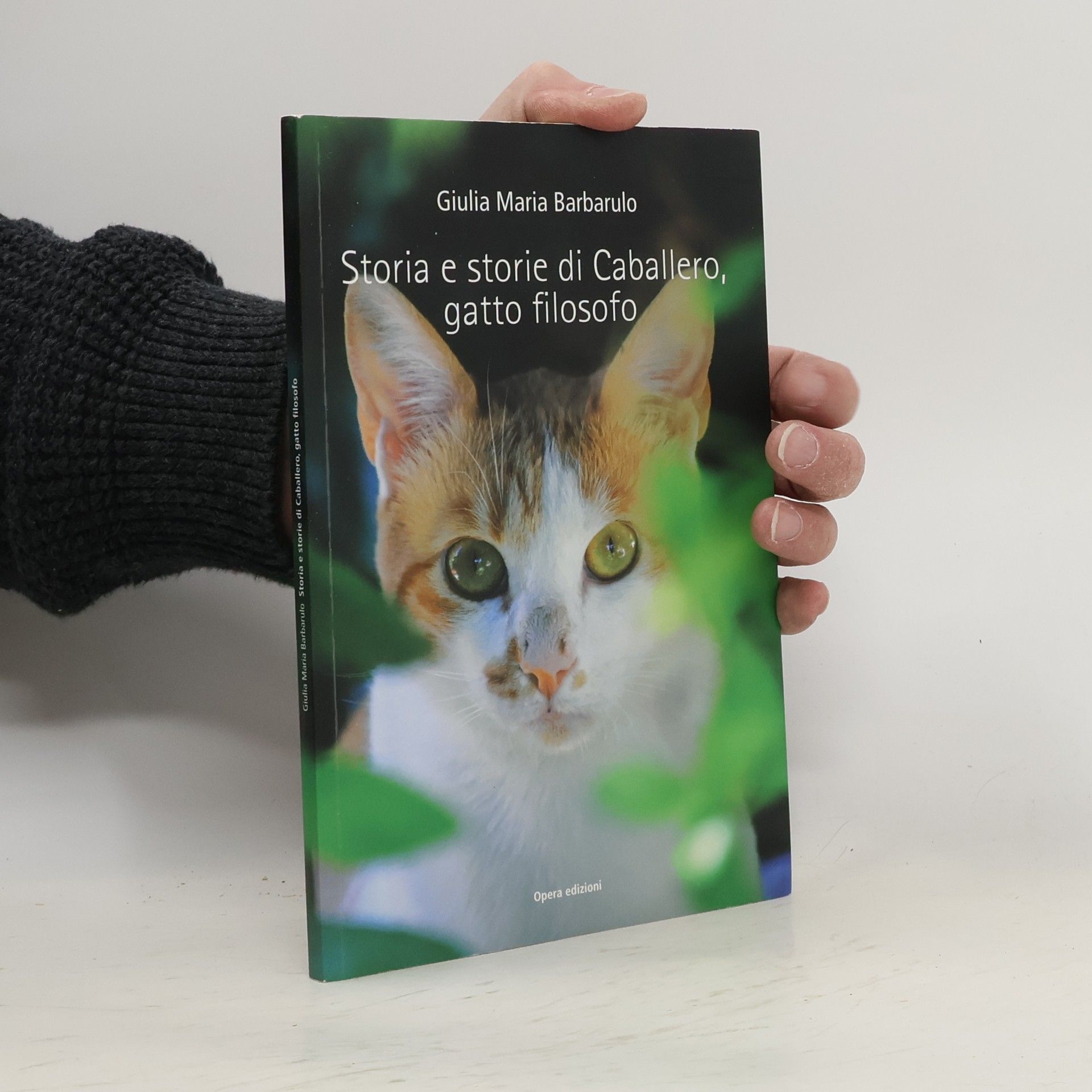 Giulia Maria Barbarulo Storia e storie di Caballero, gatto filosofo