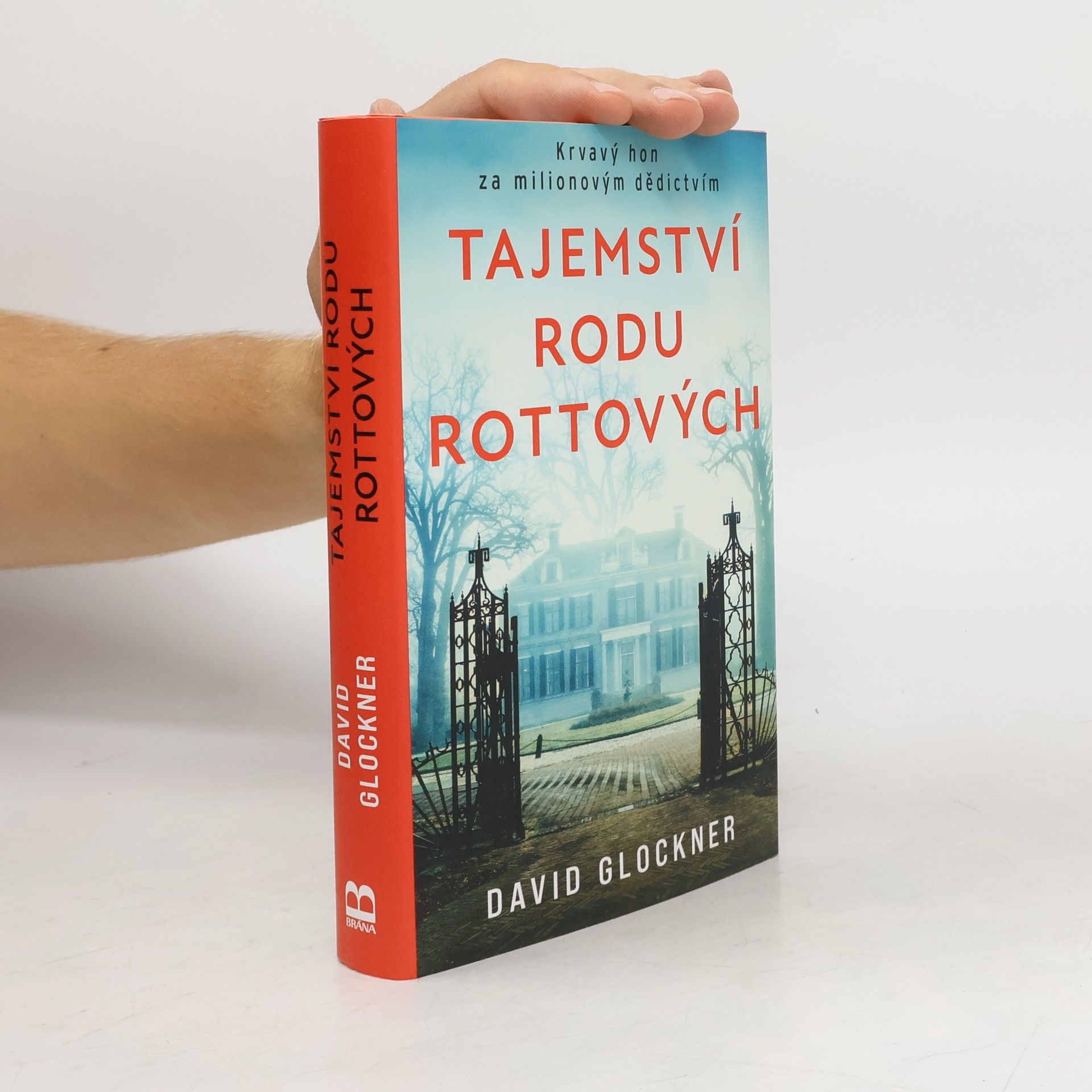 David Glockner Tajemství rodu Rottových