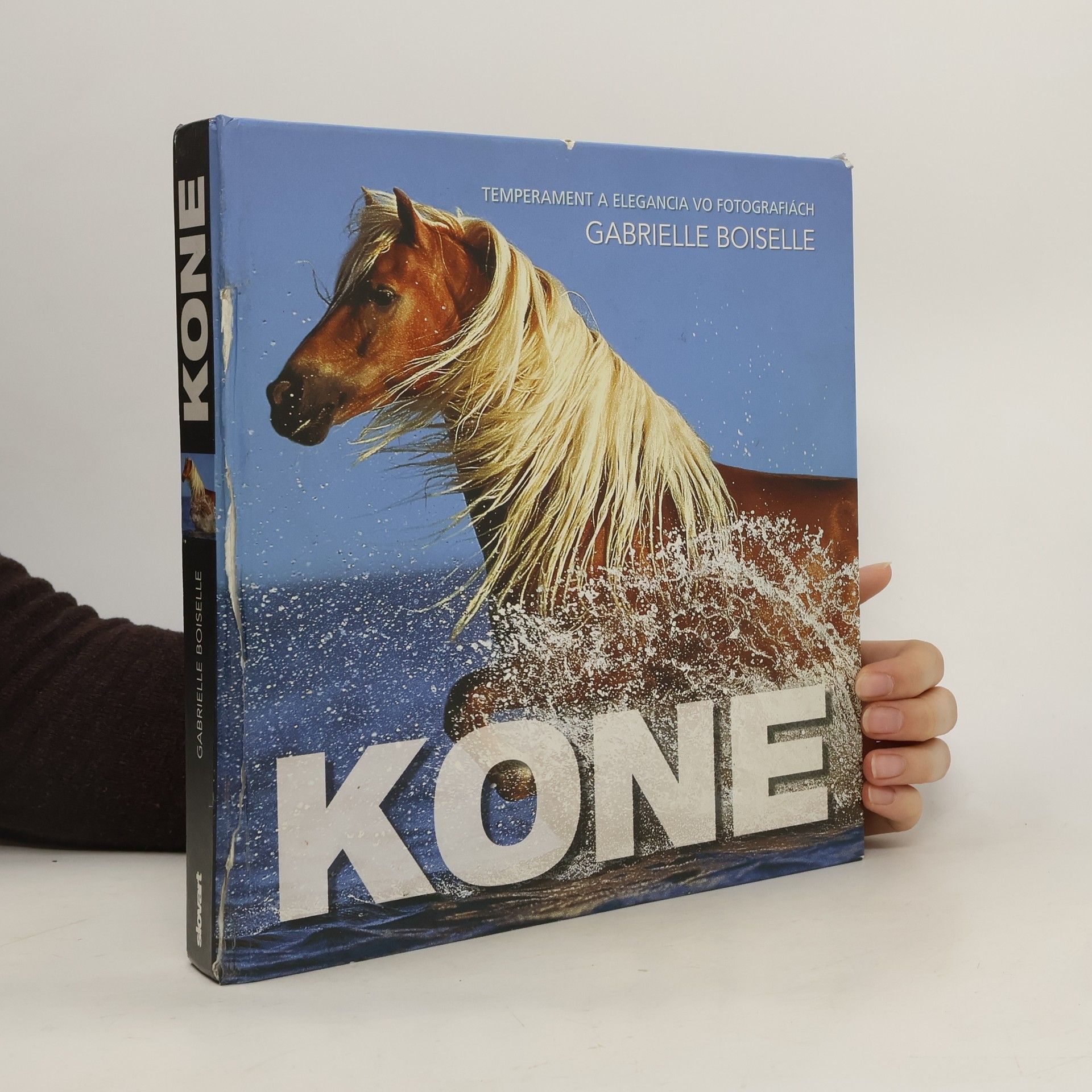 Gabriele Boiselle Kone