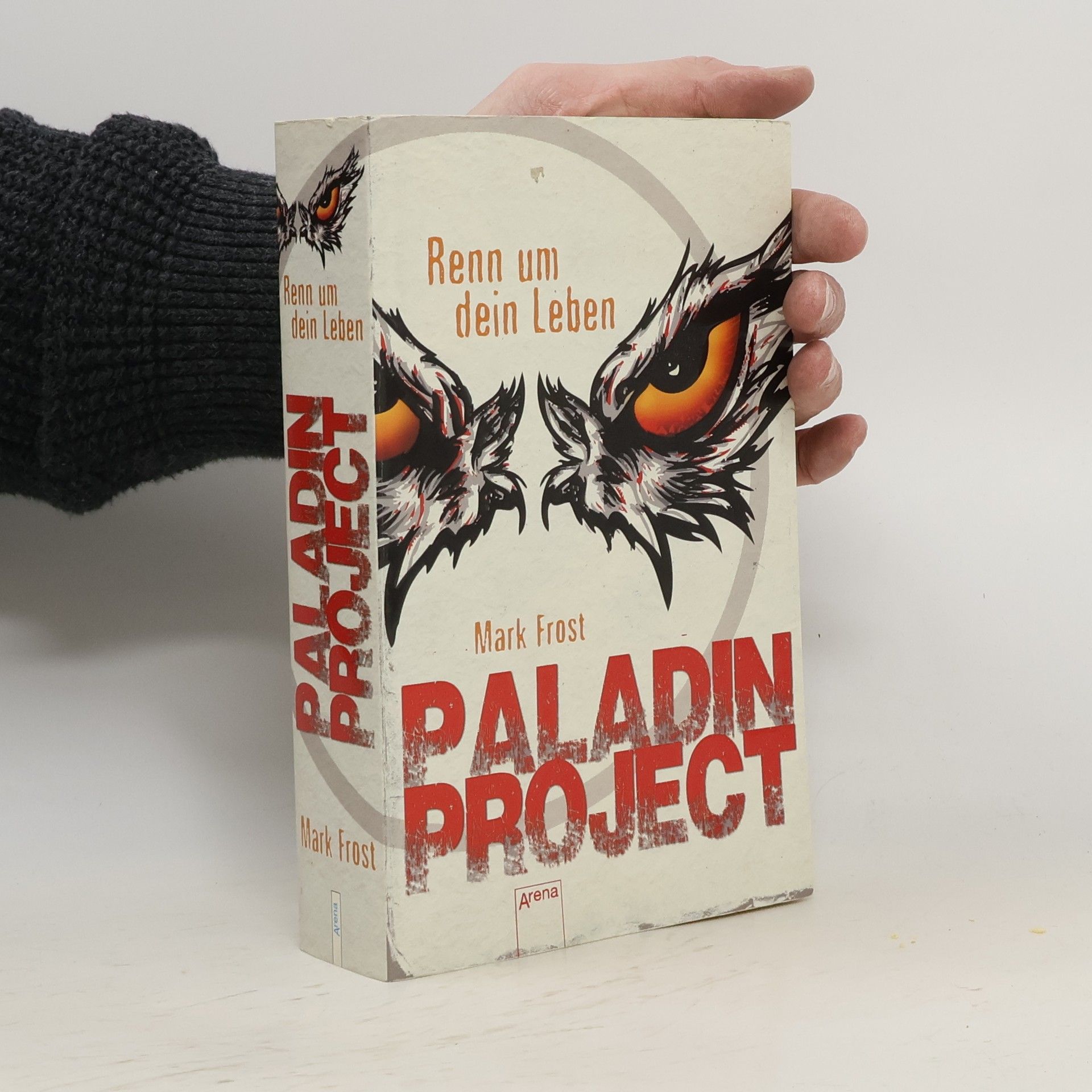 Mark Frost Paladin Project - Renn um dein Leben