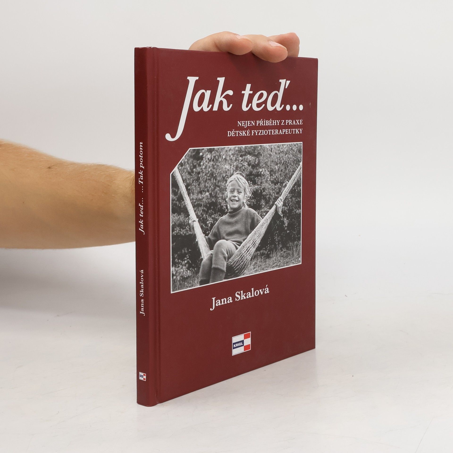 Šašek Hopsajda a jiné pohádky