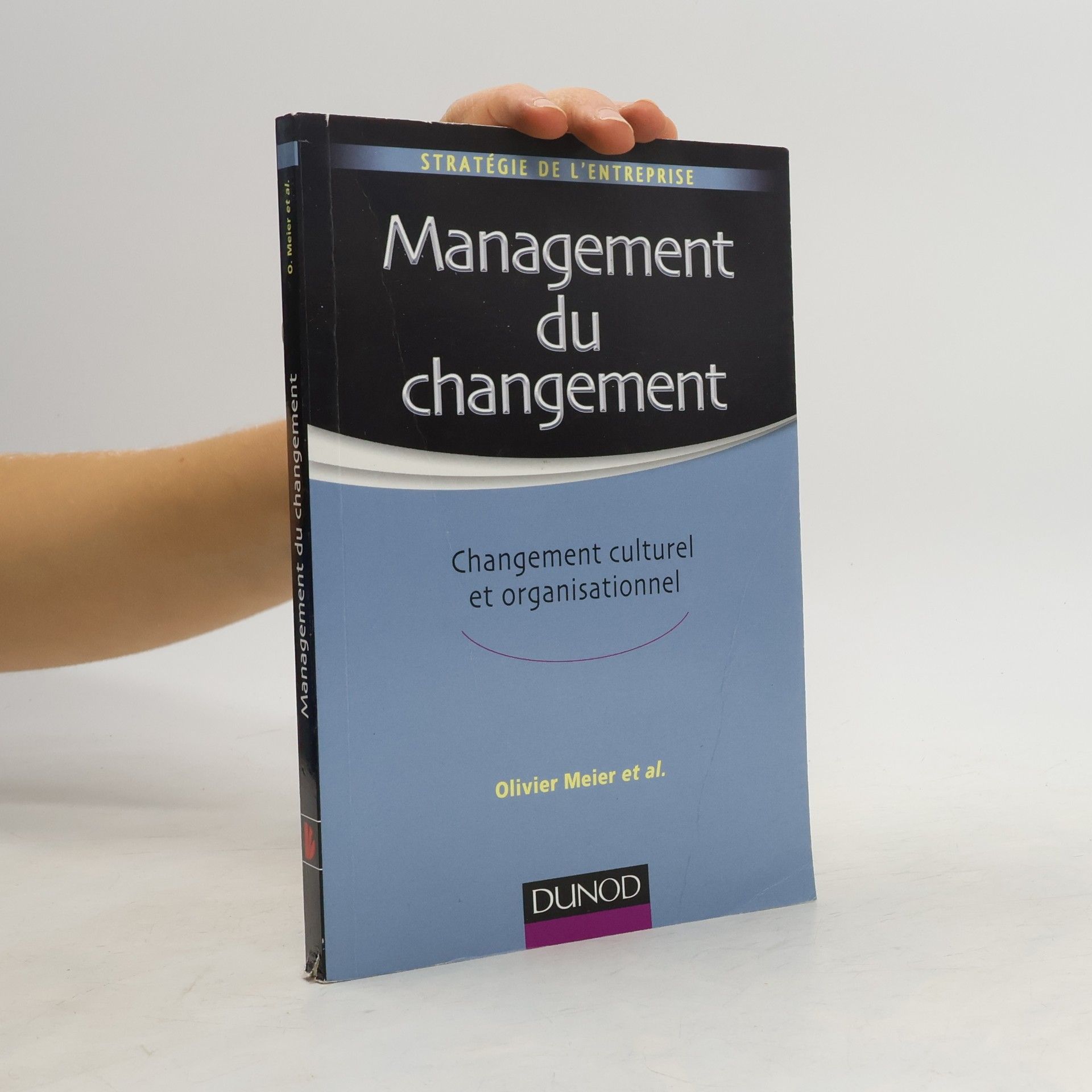 Olivier Meier Stratégie de l'entreprise: Management du changement