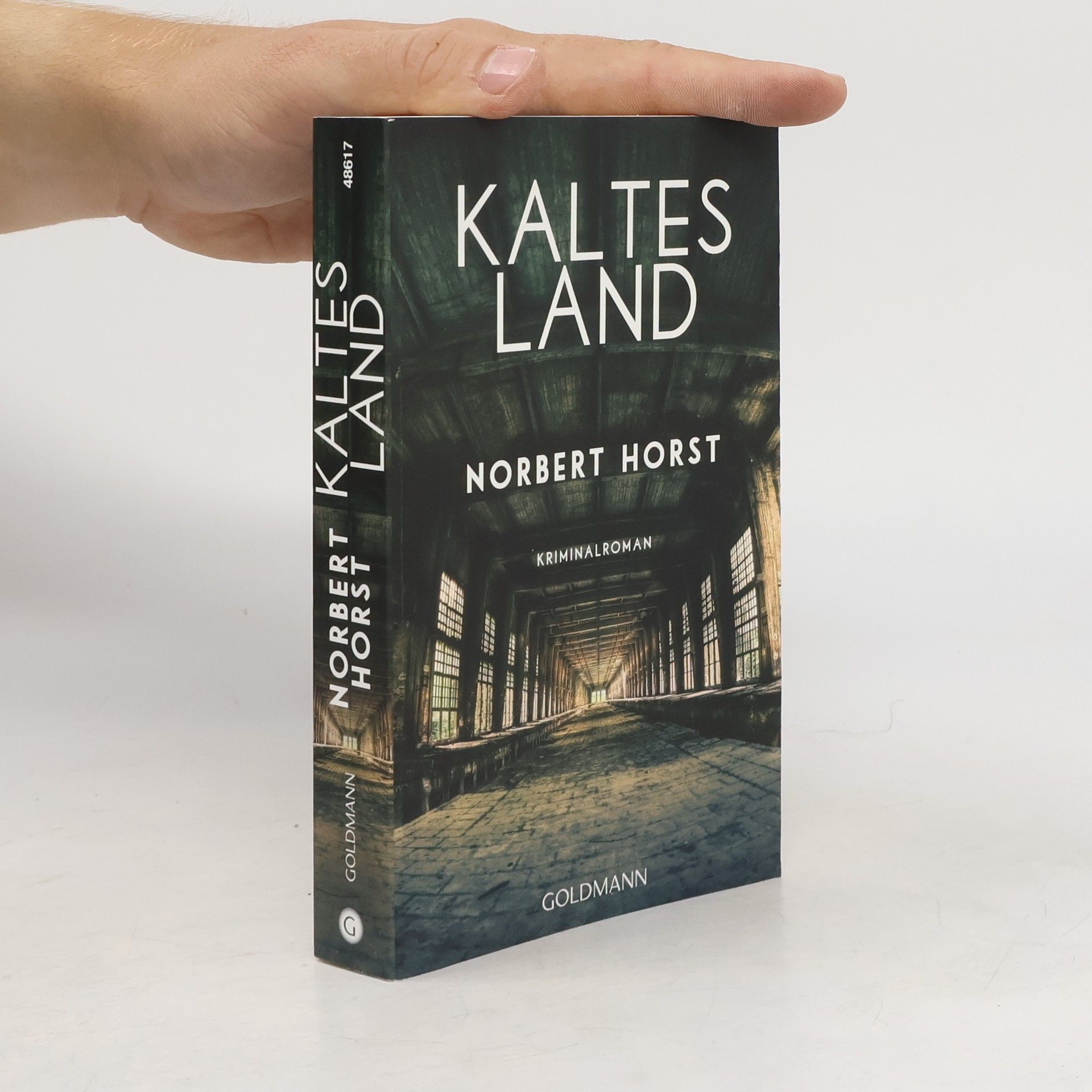 Norbert Horst Kaltes Land