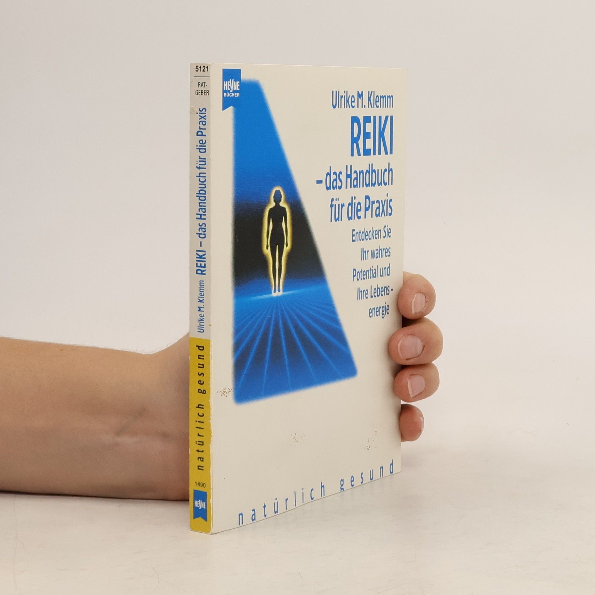 Reiki - das Handbuch für die Praxis