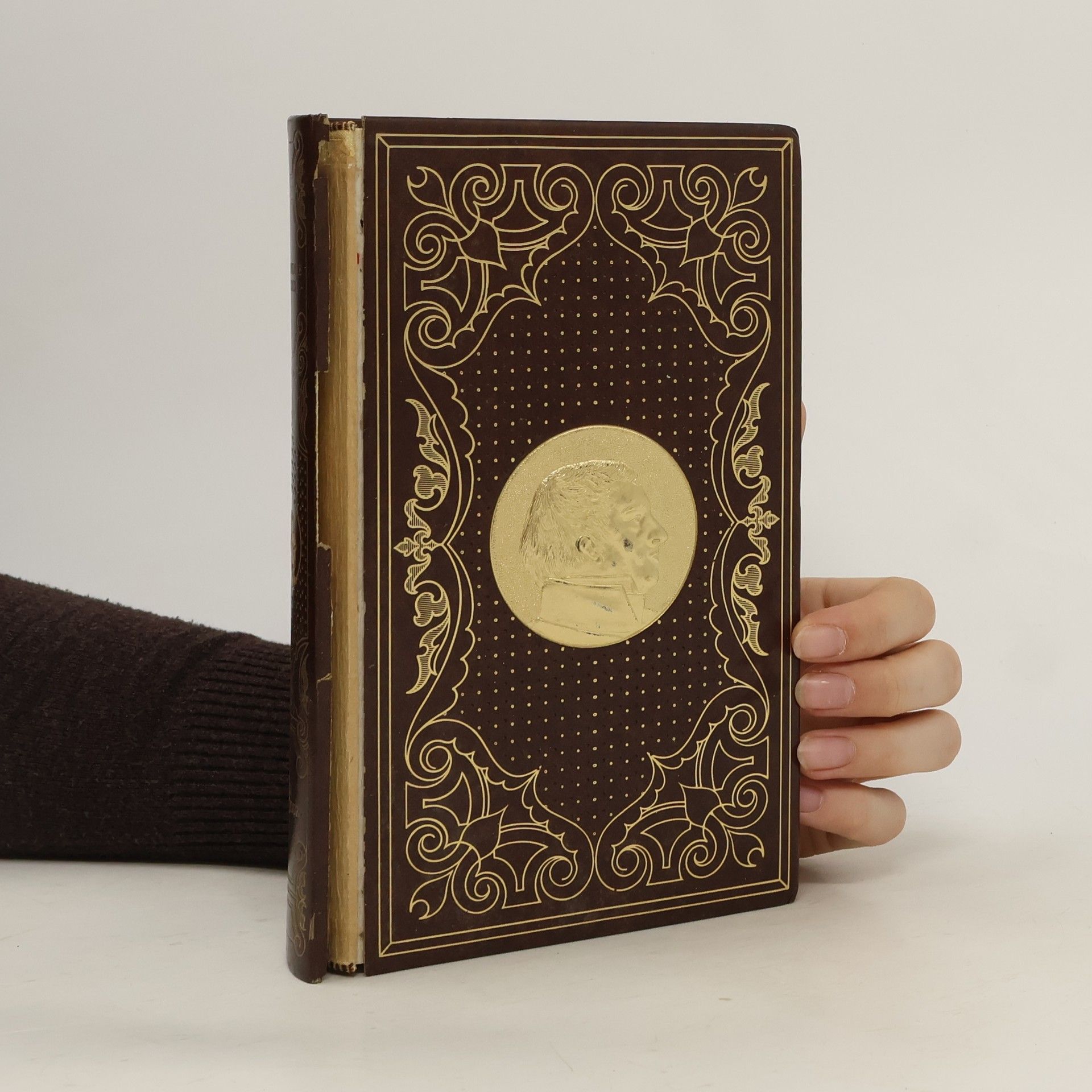 Alexandre Arnoux Roi d'un Jour