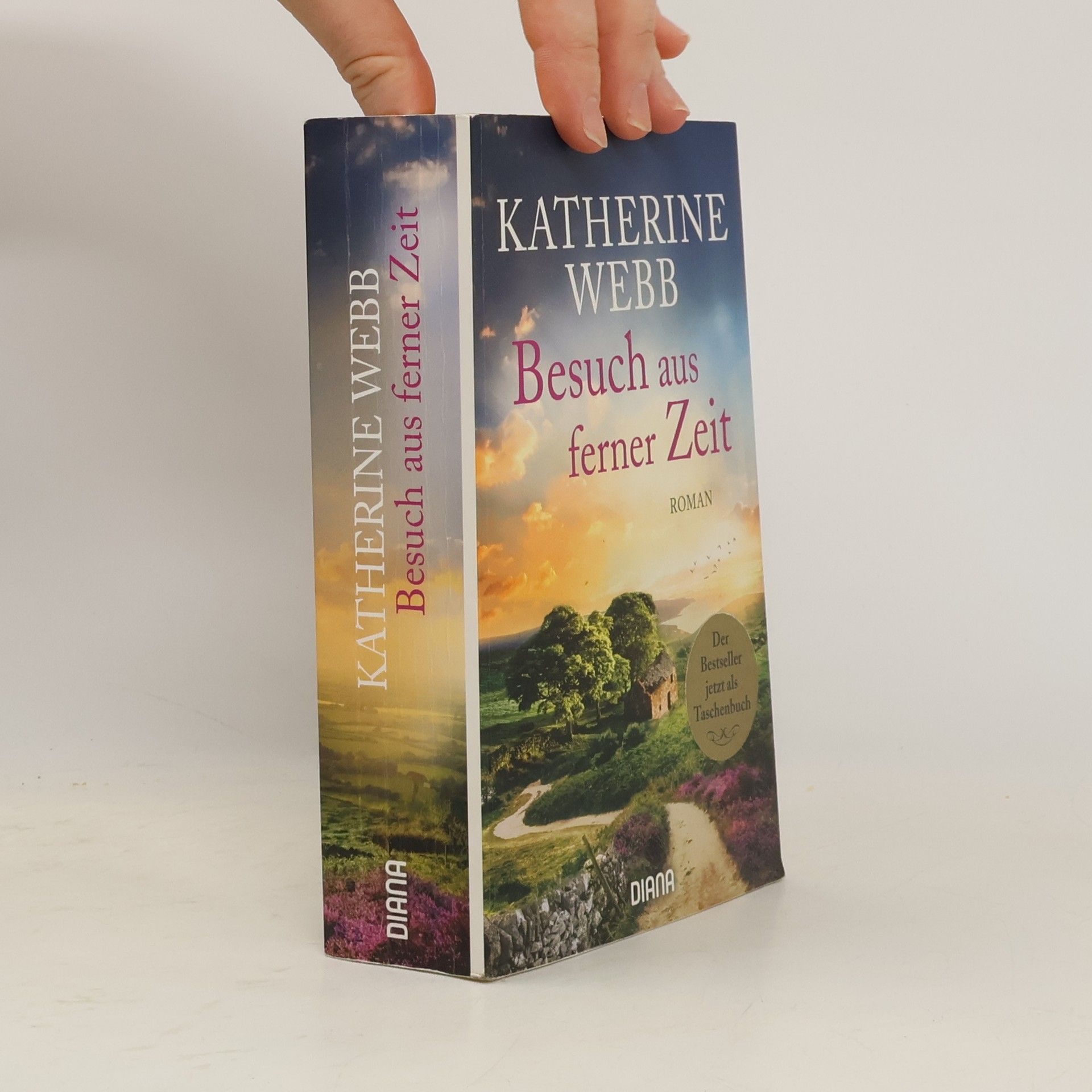 Katherine Webb Besuch aus ferner Zeit