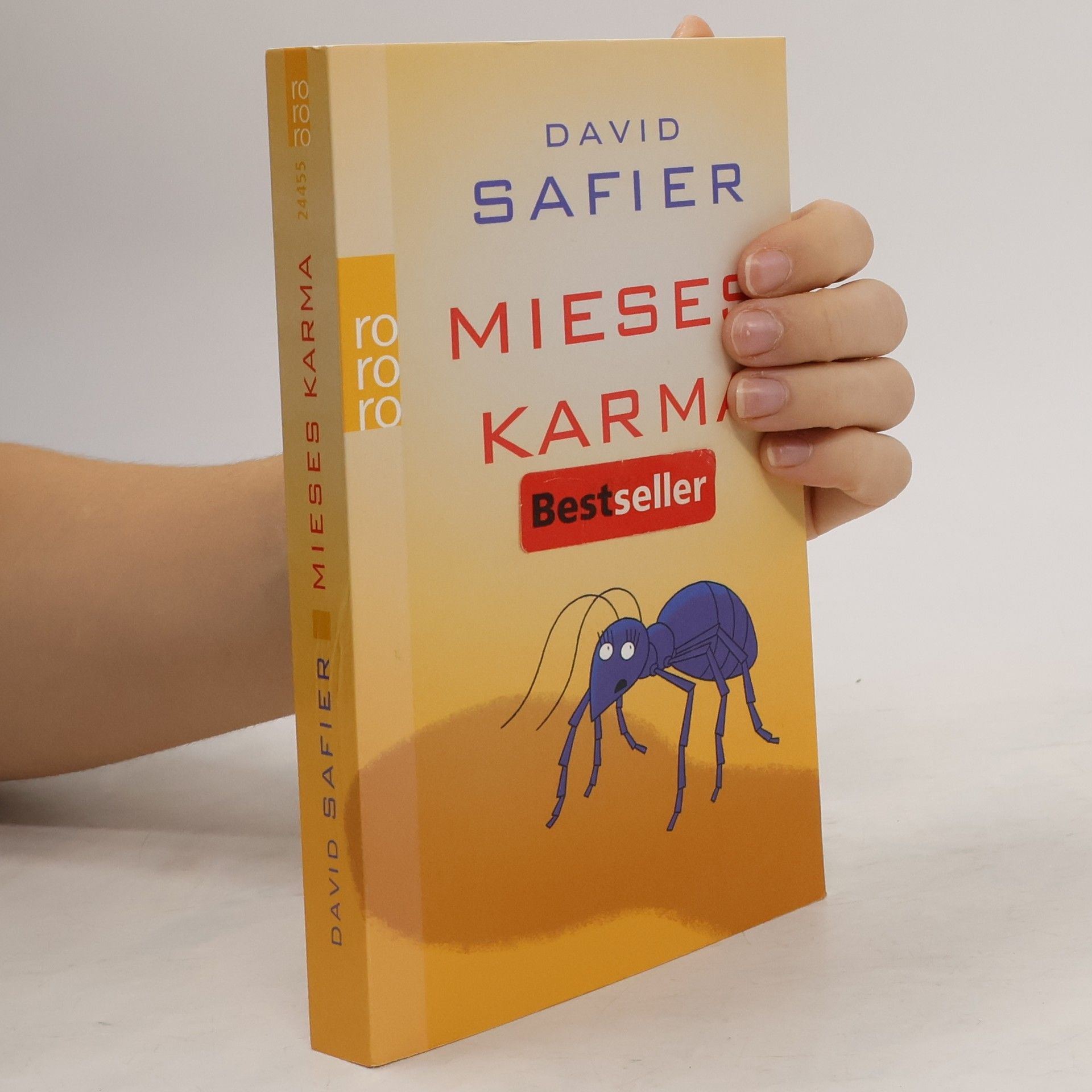 David Safier Mieses Karma