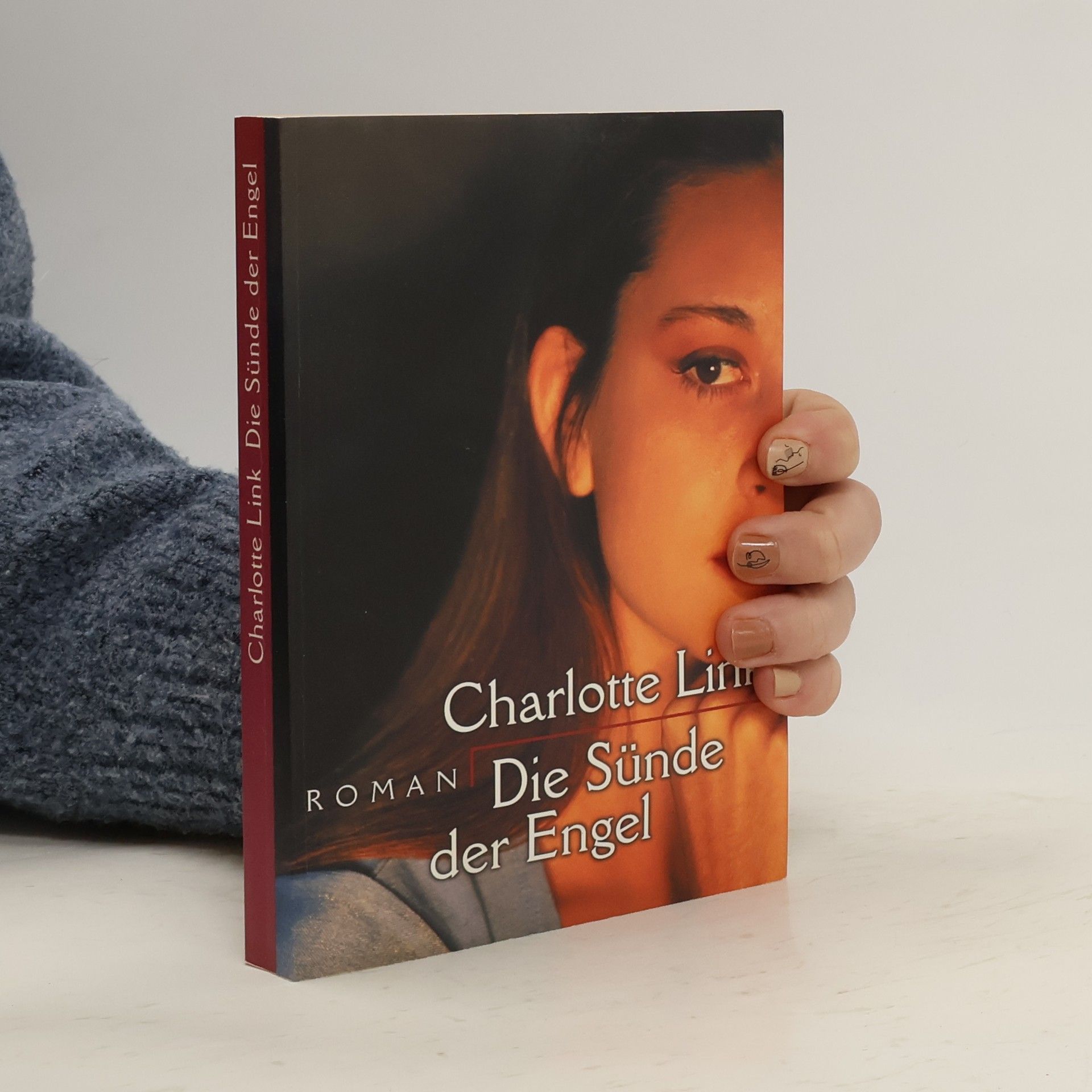 Charlotte Link Die Sünde der Engel