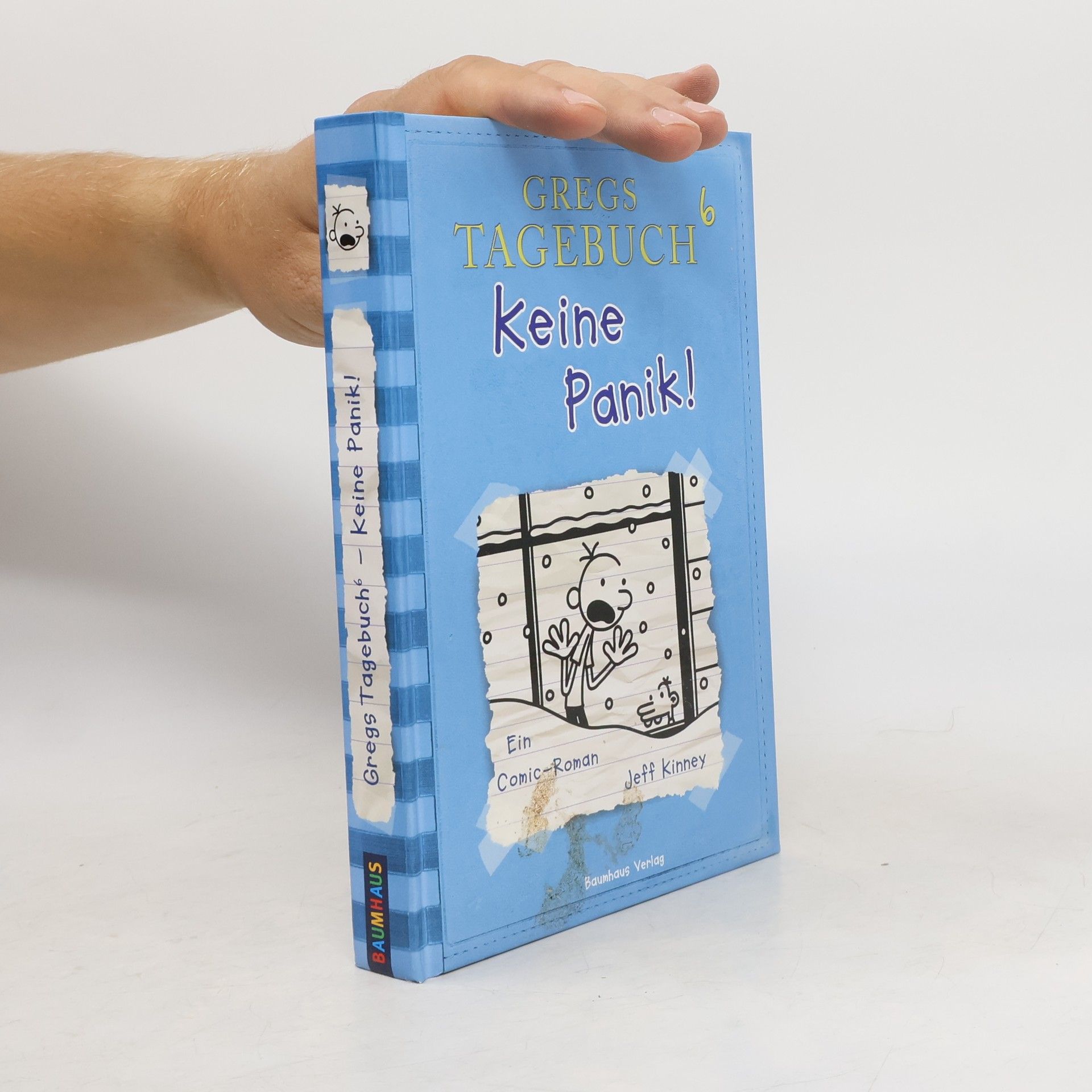 Gregs Tagebuch 6. Keine Panik!