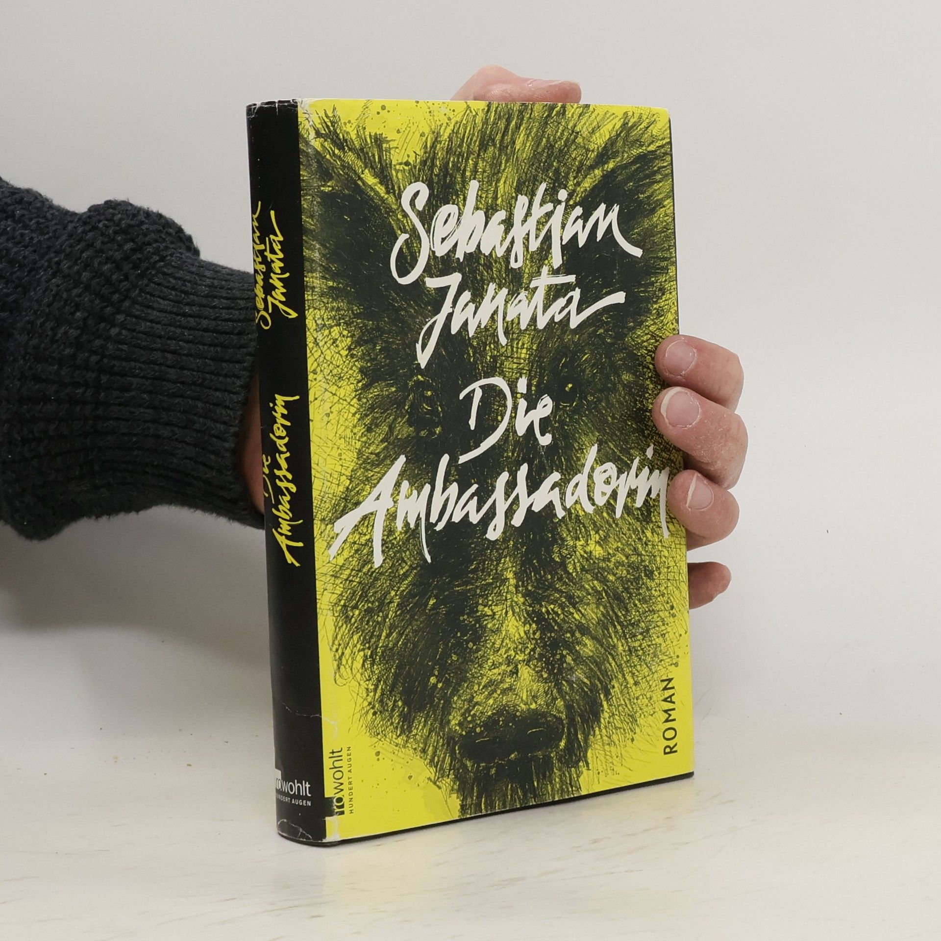 Sebastian Janata Die Ambassadorin