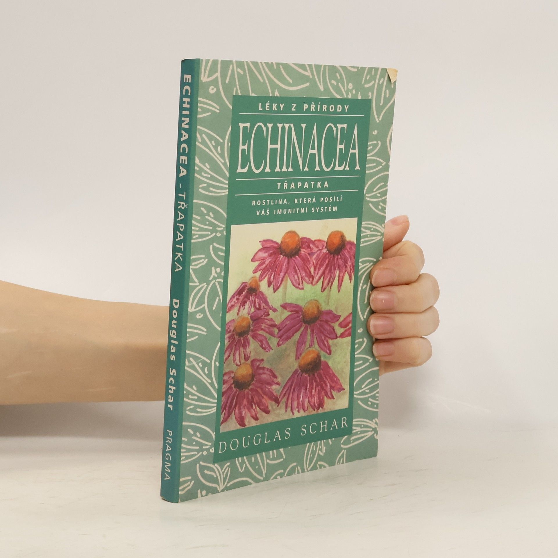 Douglas Schar Echinacea - třapatka. Rostlina, která posílí váš imunitní systém