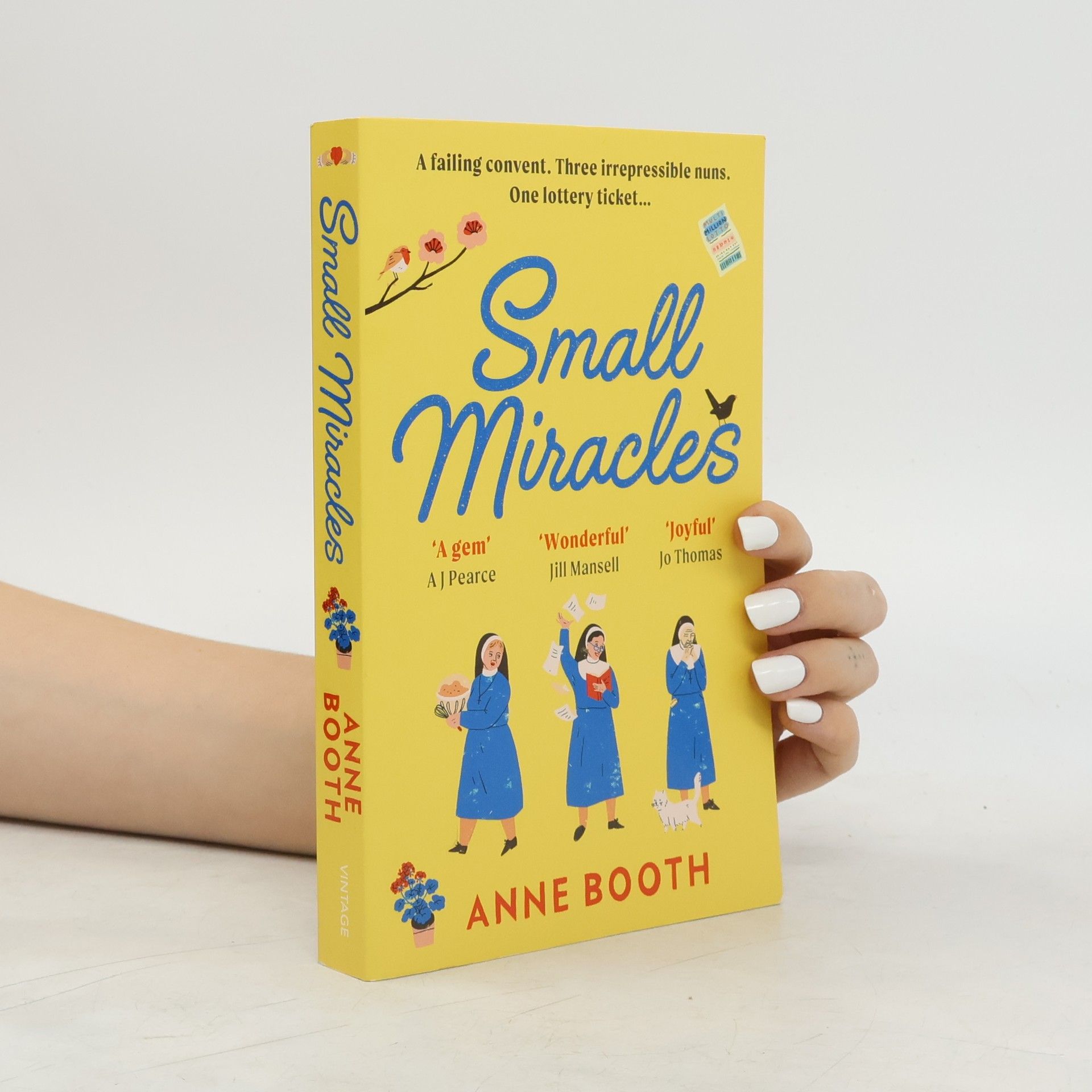 Anne Booth Small Miracles