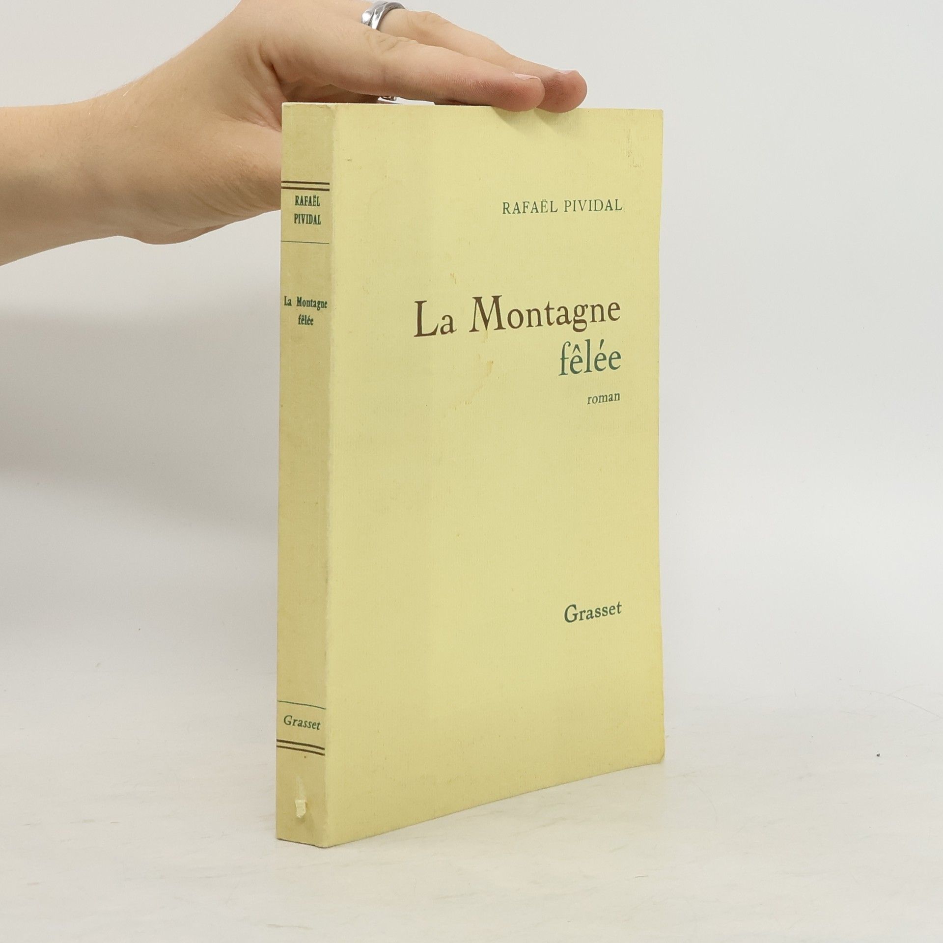 Rafaël Pividal La montagne fêlée