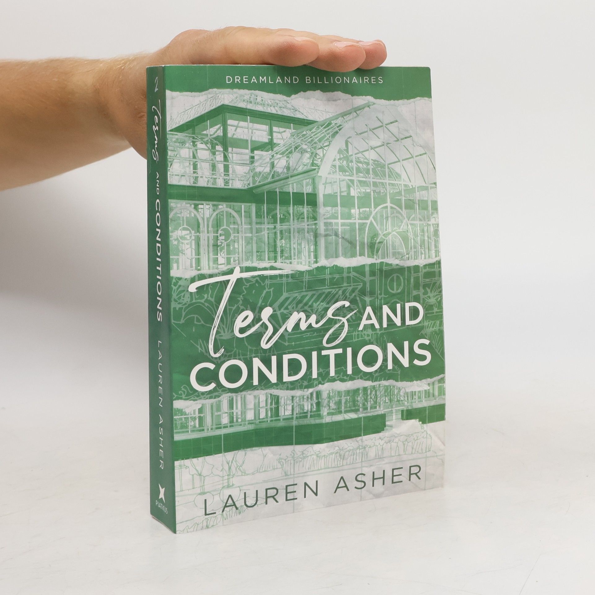 Lauren Asher Dreamland billionaires. Terms and conditions