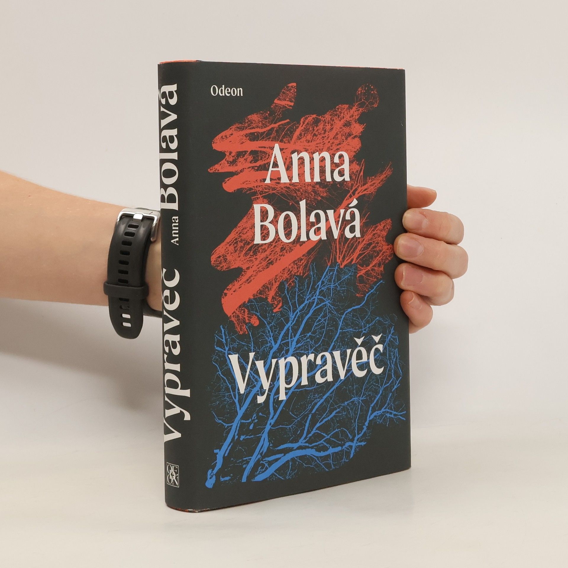 Anna Bolavá Vypravěč