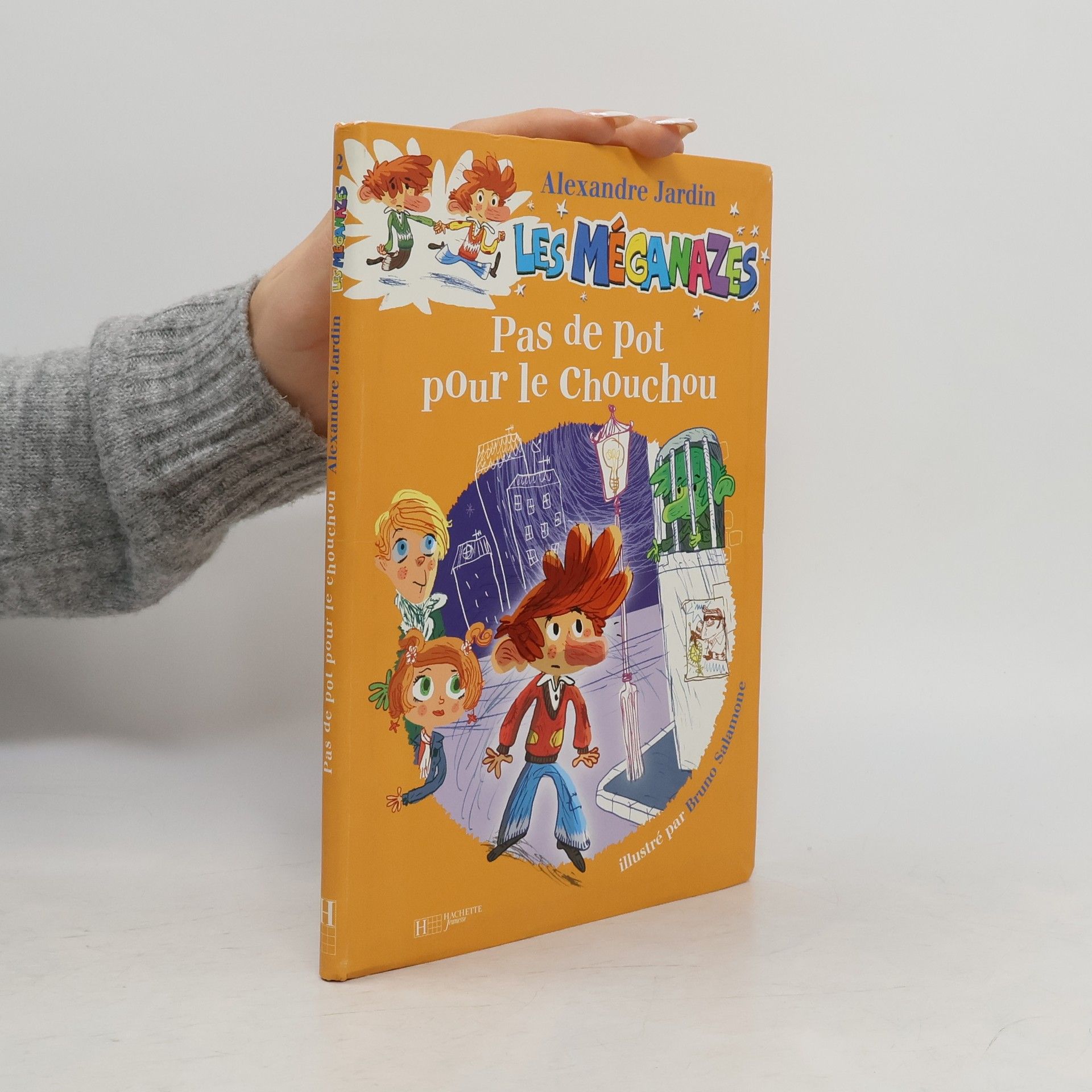 Alexandre Jardin Les Méganazes: Pas de pot pour le chouchou