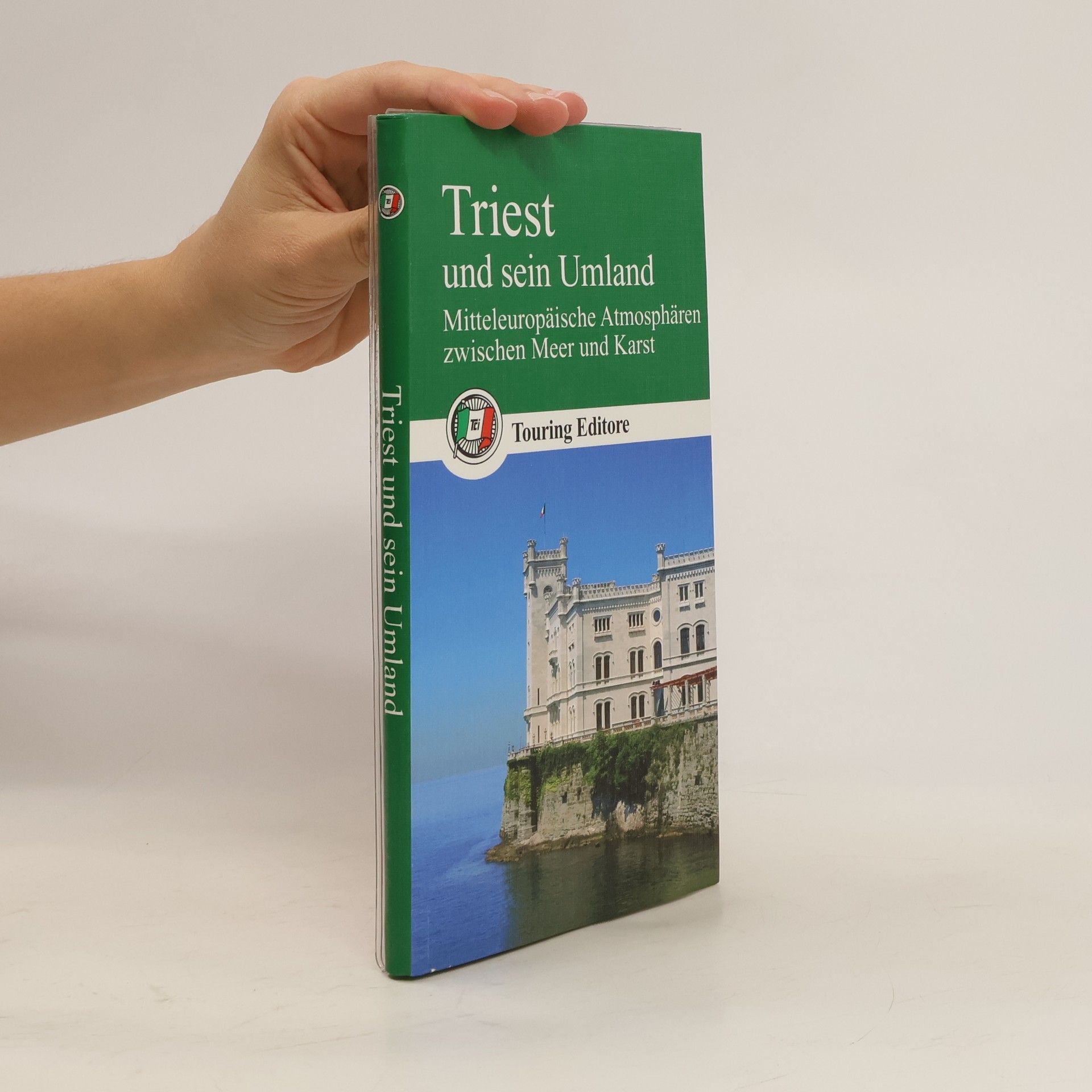 Deborah Terrin Triest und sein Umland. Mitteleuropäische Atmosphären zwischen Meer und Karst