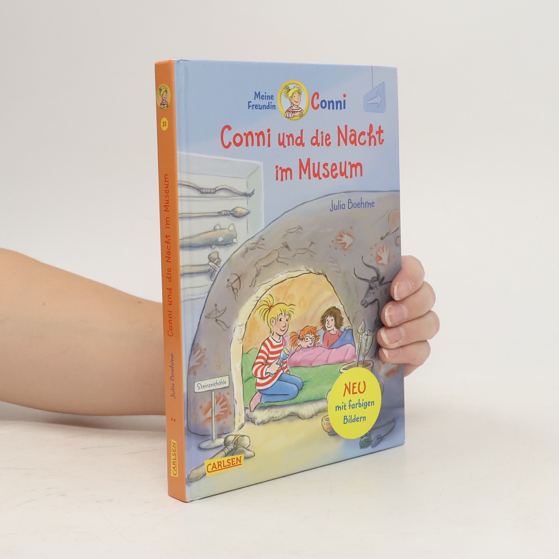 Julia Boehme Conni und die Nacht im Museum