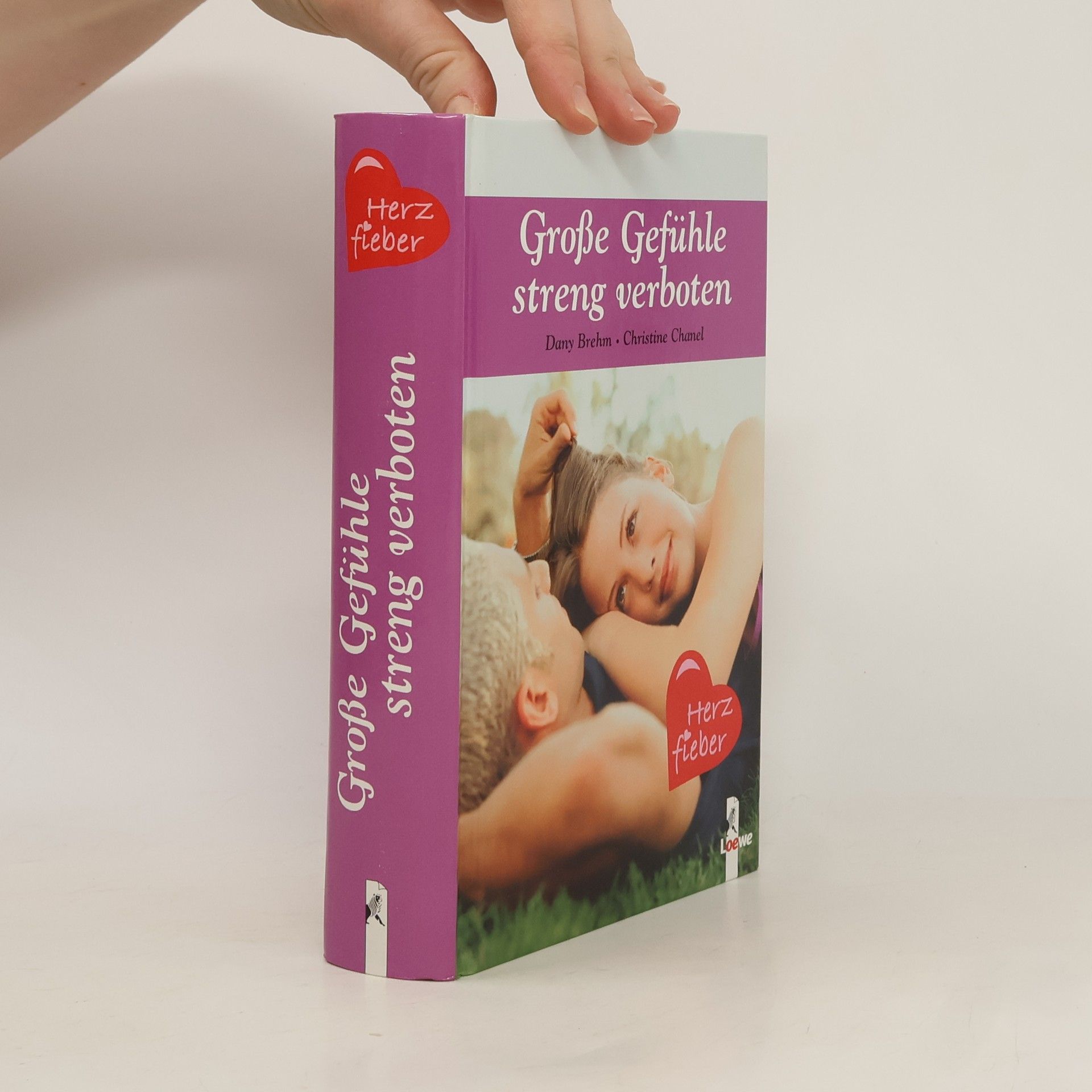Dany Brehm Große Gefühle streng verboten