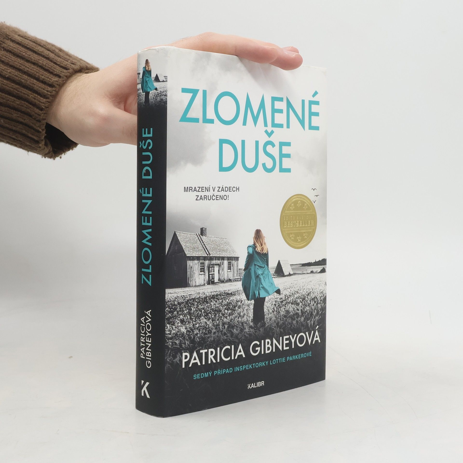 Patricia Gibney Zlomené Duše