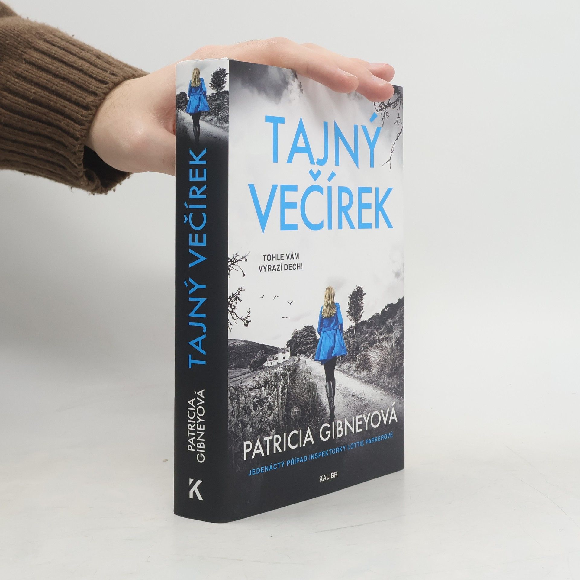 Patricia Gibney Tajný večírek
