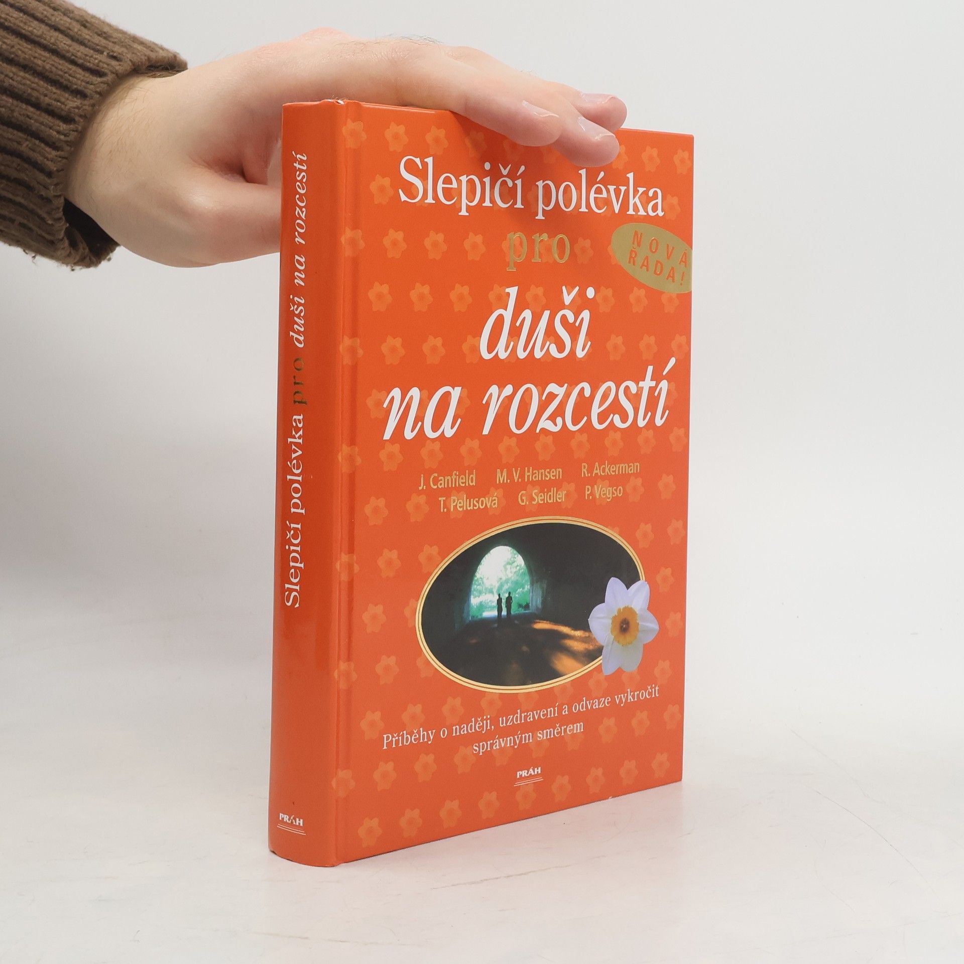 Jack Canfield Slepičí polévka pro duši na rozcestí