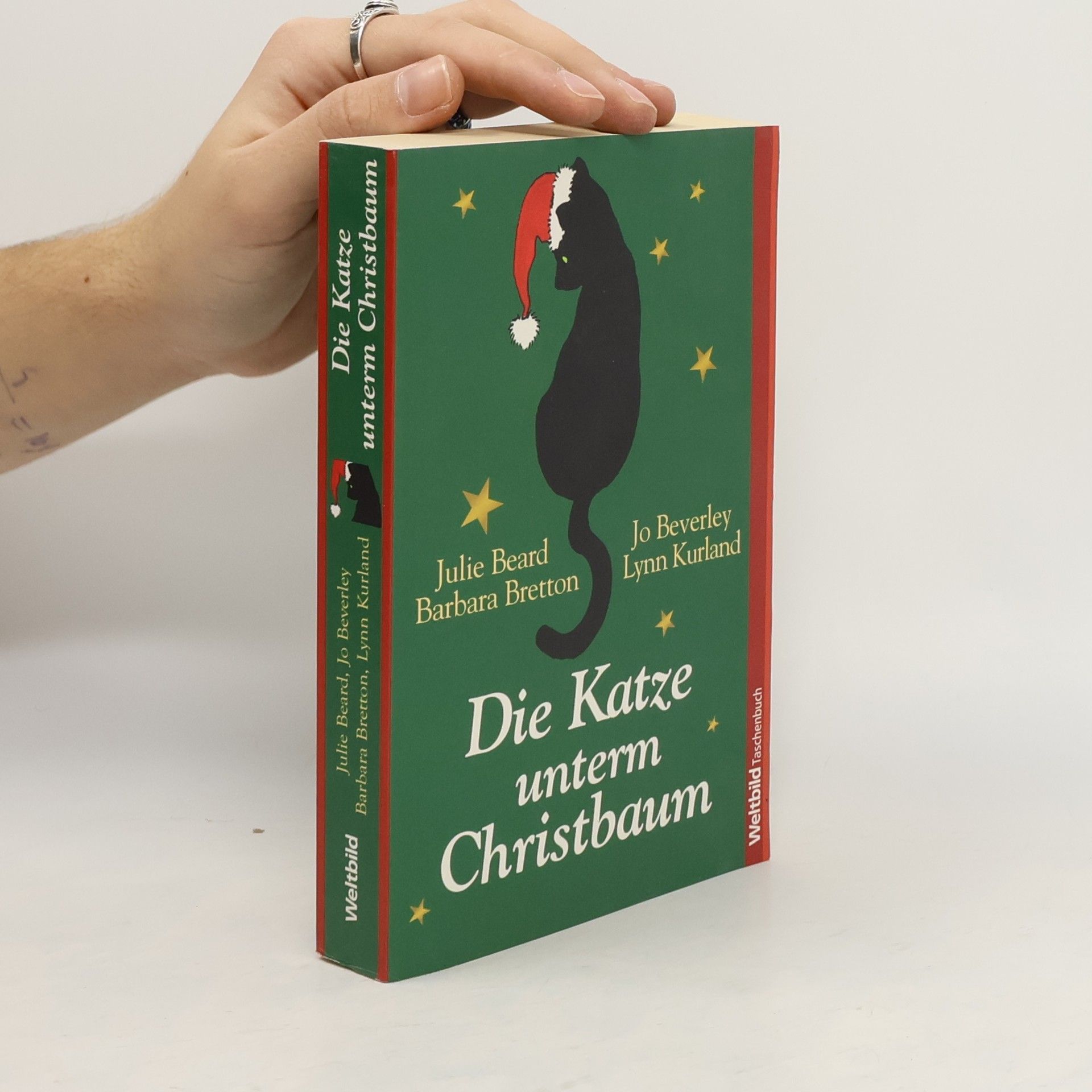 Julie Beard Die Katze unterm Christbaum