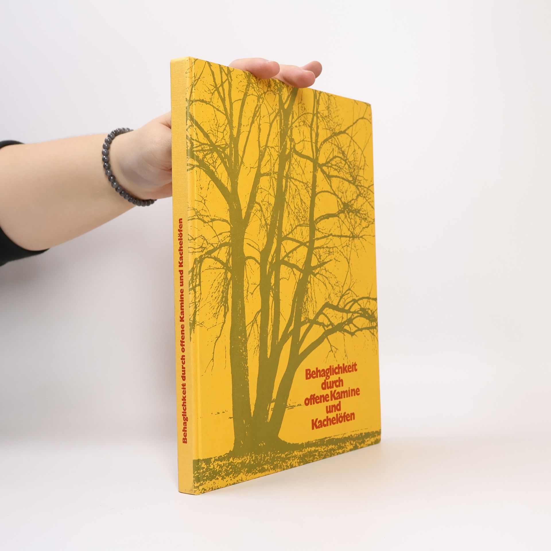 Ottmar Strebel Behaglichkeit durch offene Kamine und Kachelöfen