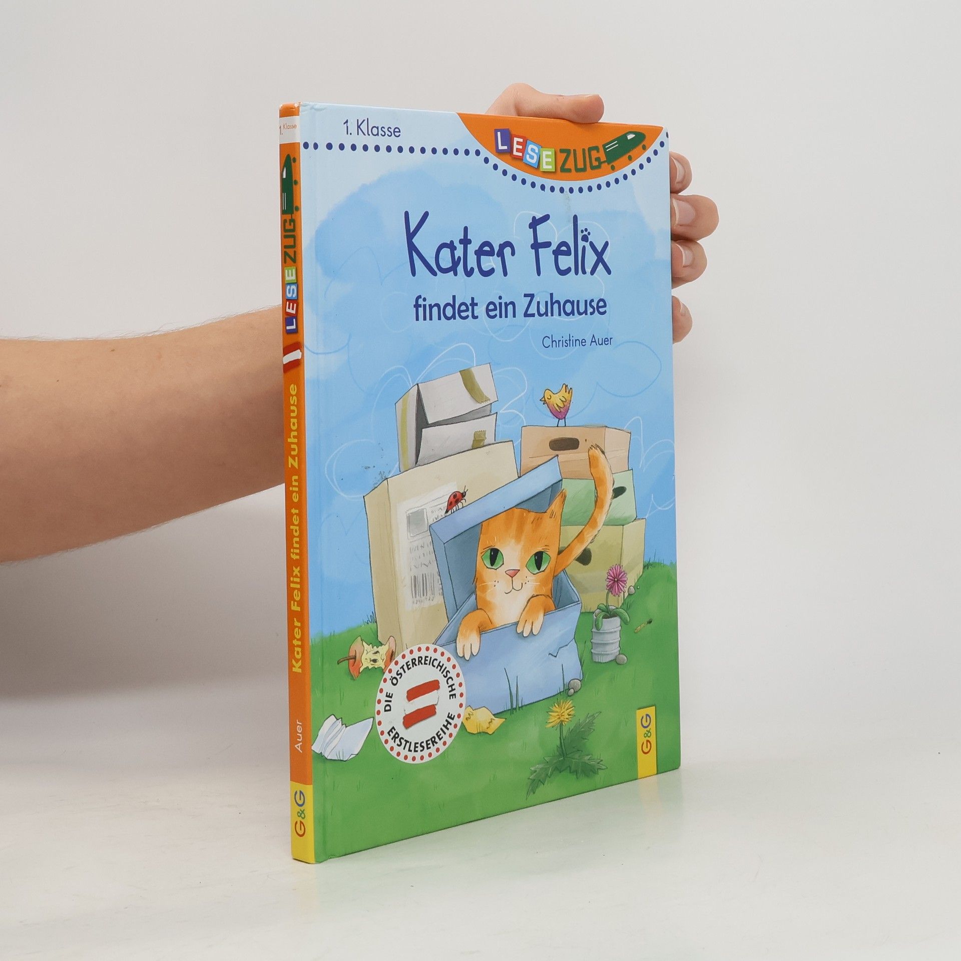 Kater Felix findet ein Zuhause