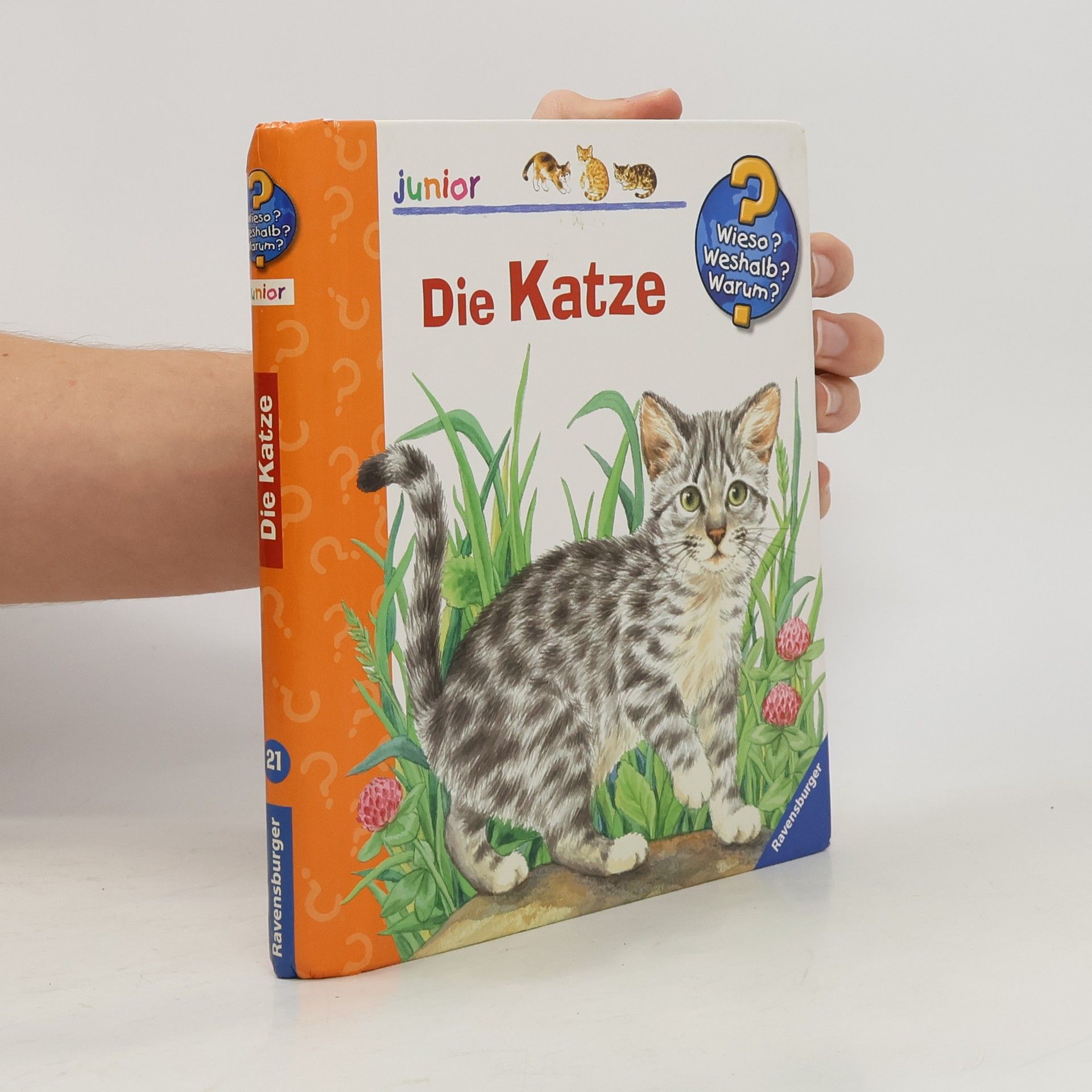 Die Katze
