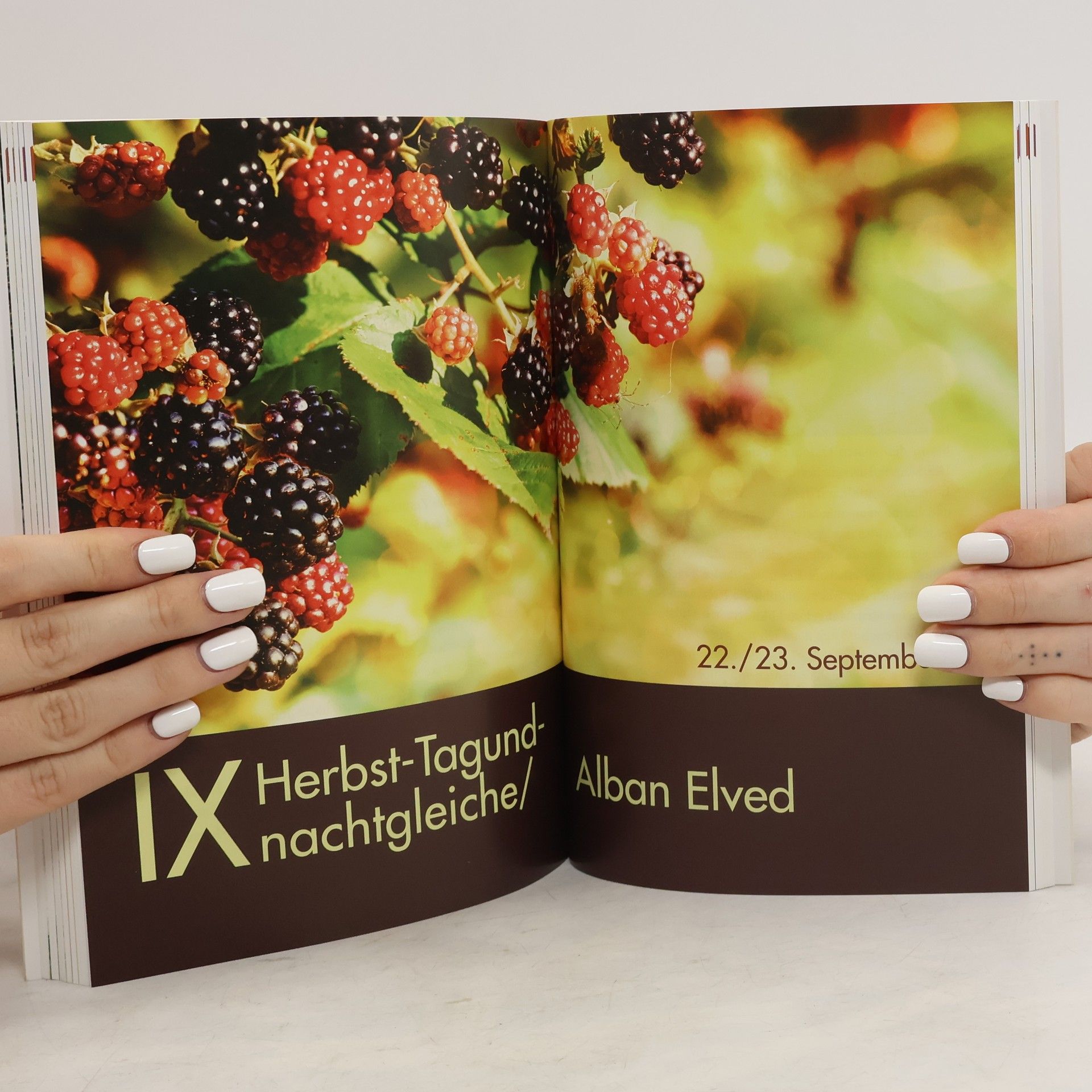Renate Kauderer Der rituelle Jahreskreis