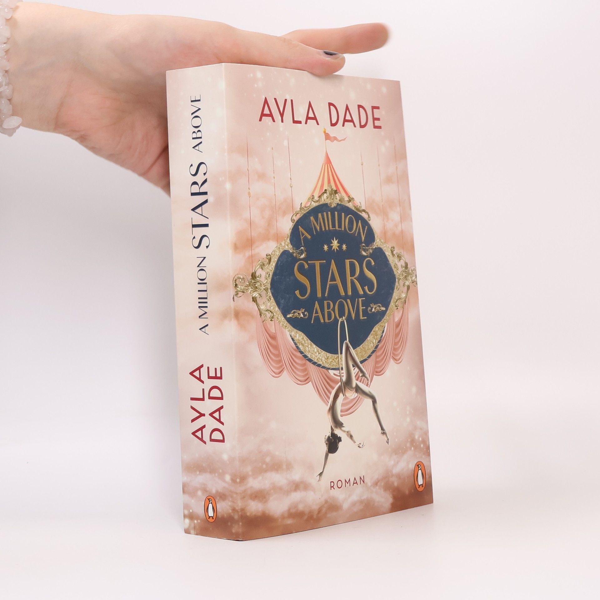 A Million Stars Above / Sky Circus Bd.1