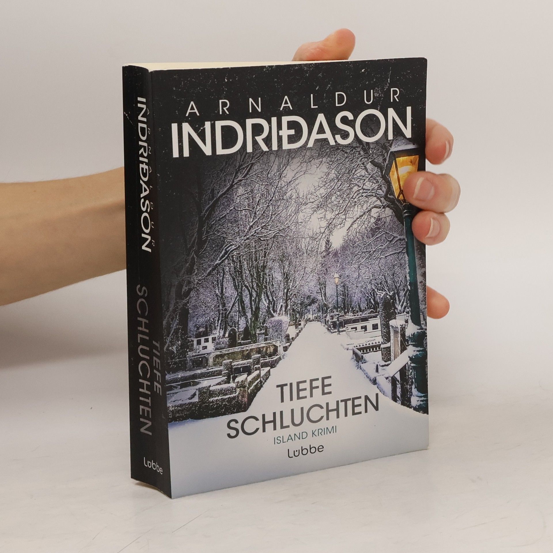 Arnaldur Indriðason Tiefe Schluchten