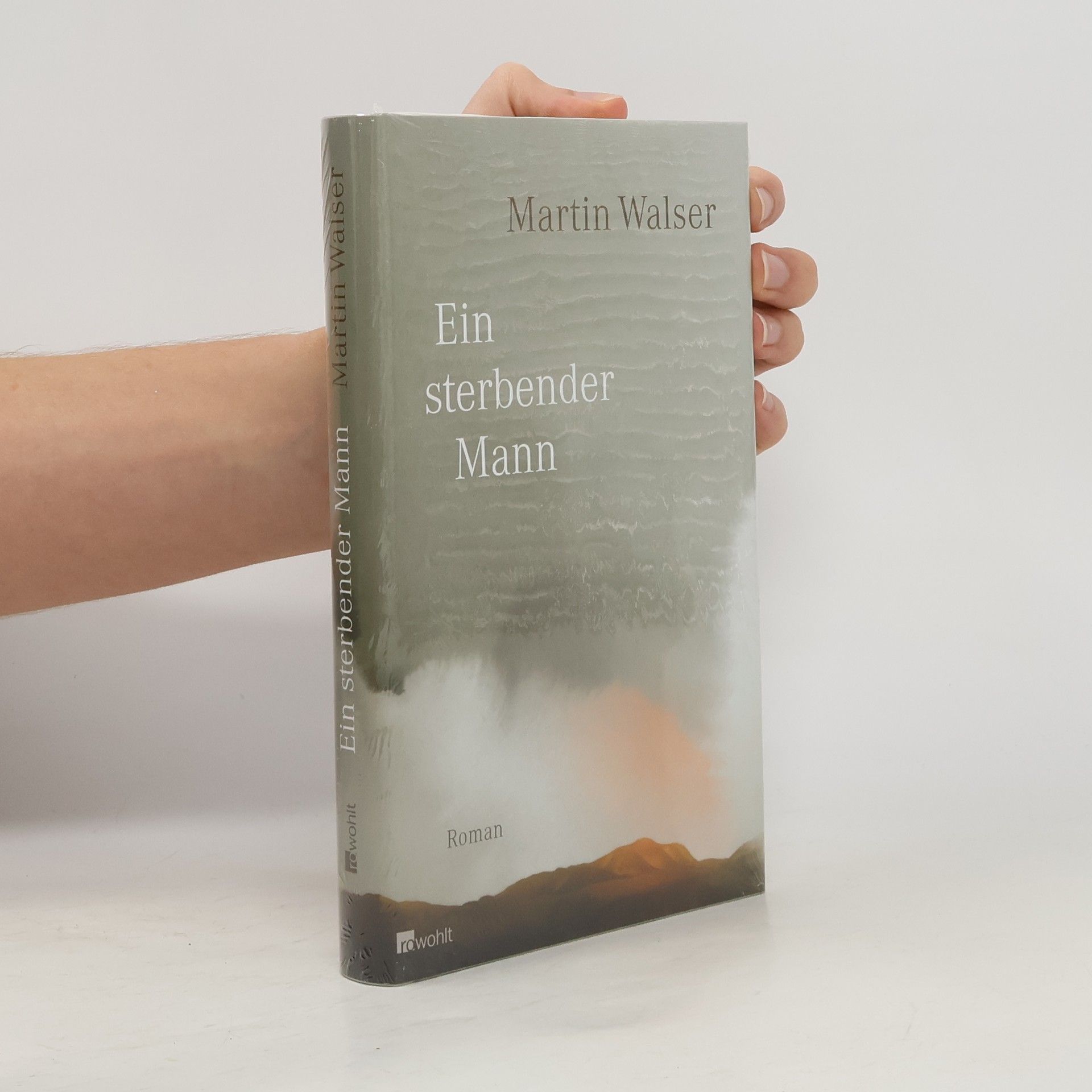 Martin Walser Ein sterbender Mann