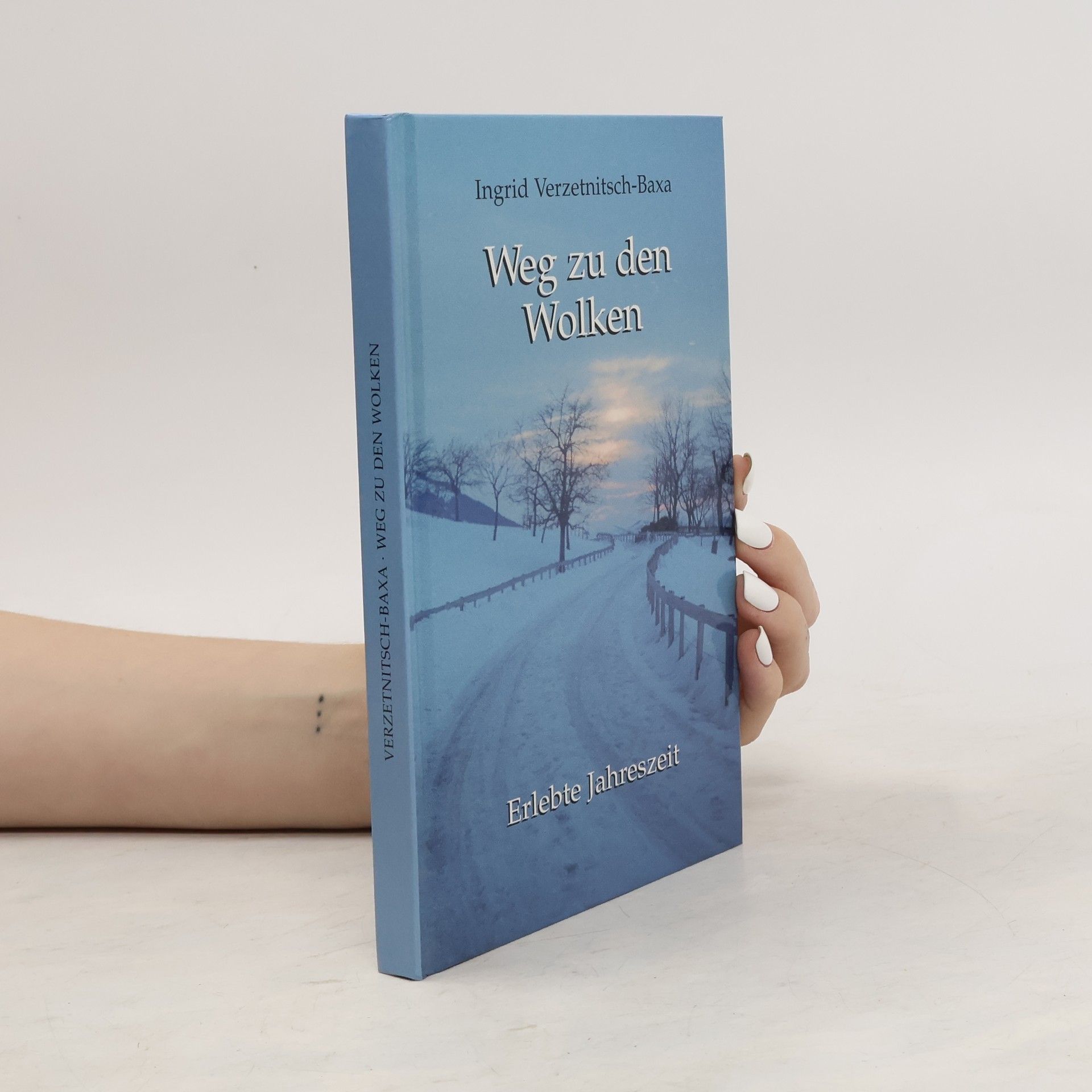 Ingrid Verzetnitsch-Baxa Weg zu den Wolken