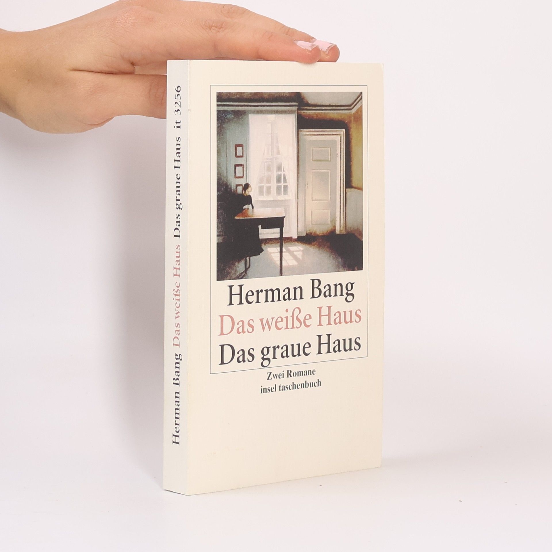 Herman Bang Das weiße Haus