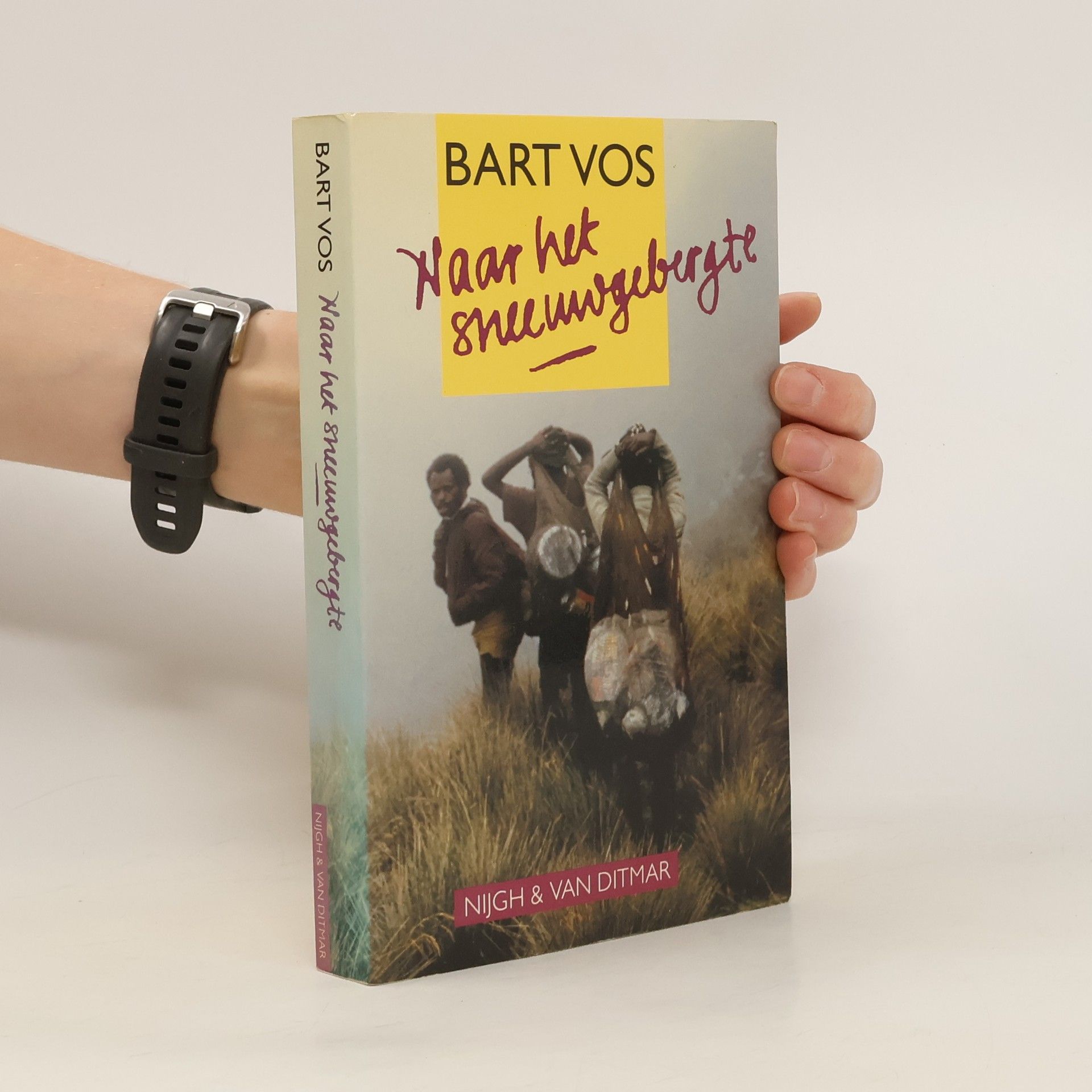 Bart Vos Naar het sneeuwgebergte