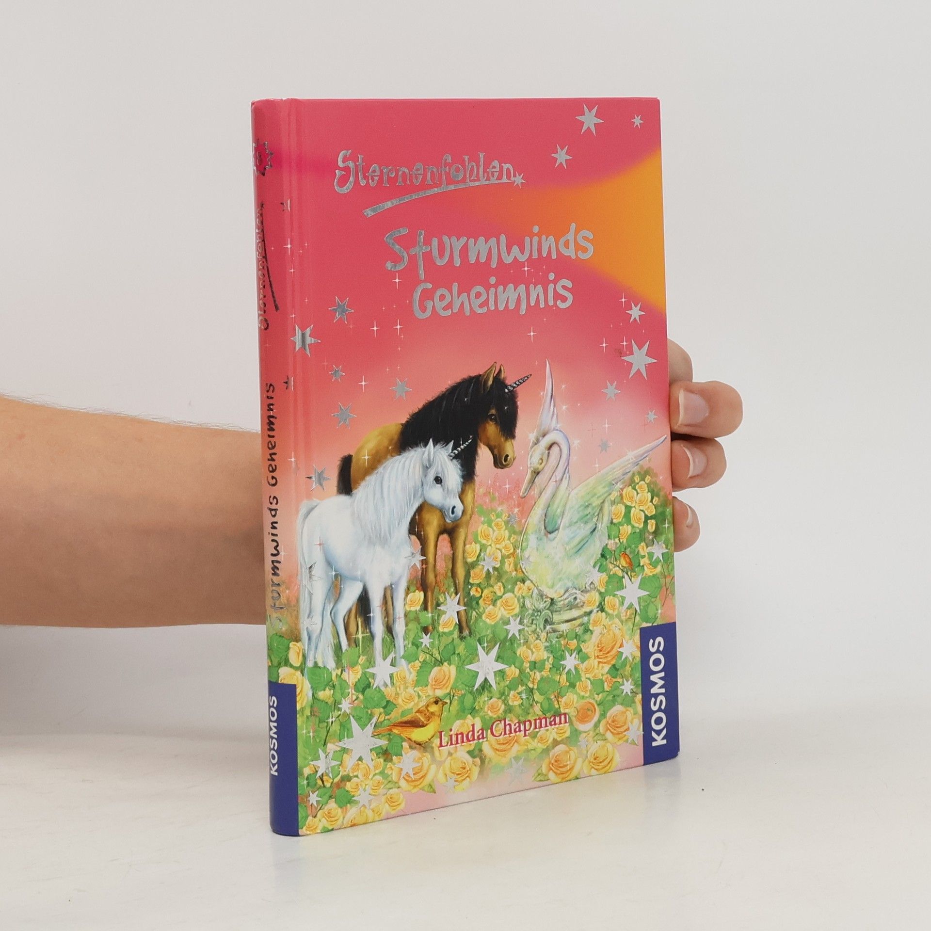 Linda Chapman Sternenfohlen 8