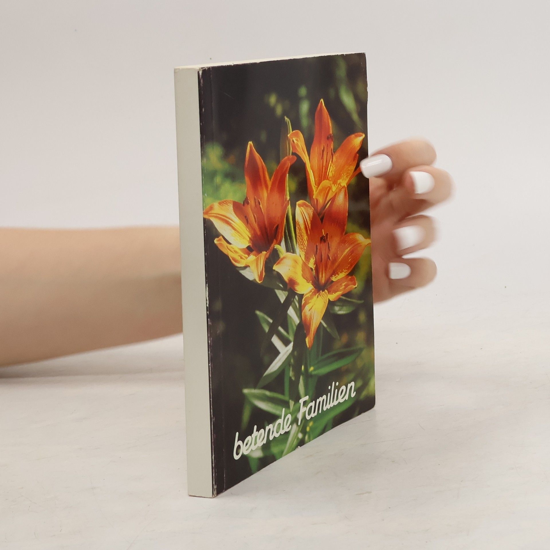 Collectif d'auteurs Betende Familien