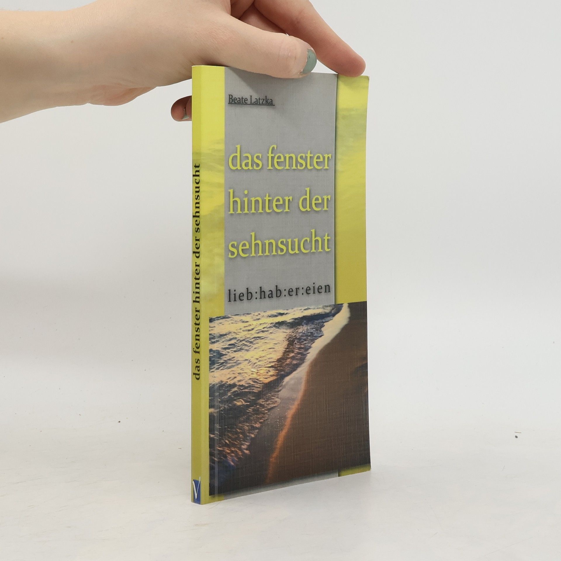 Beate Latzka Das Fenster hinter der Sehnsucht