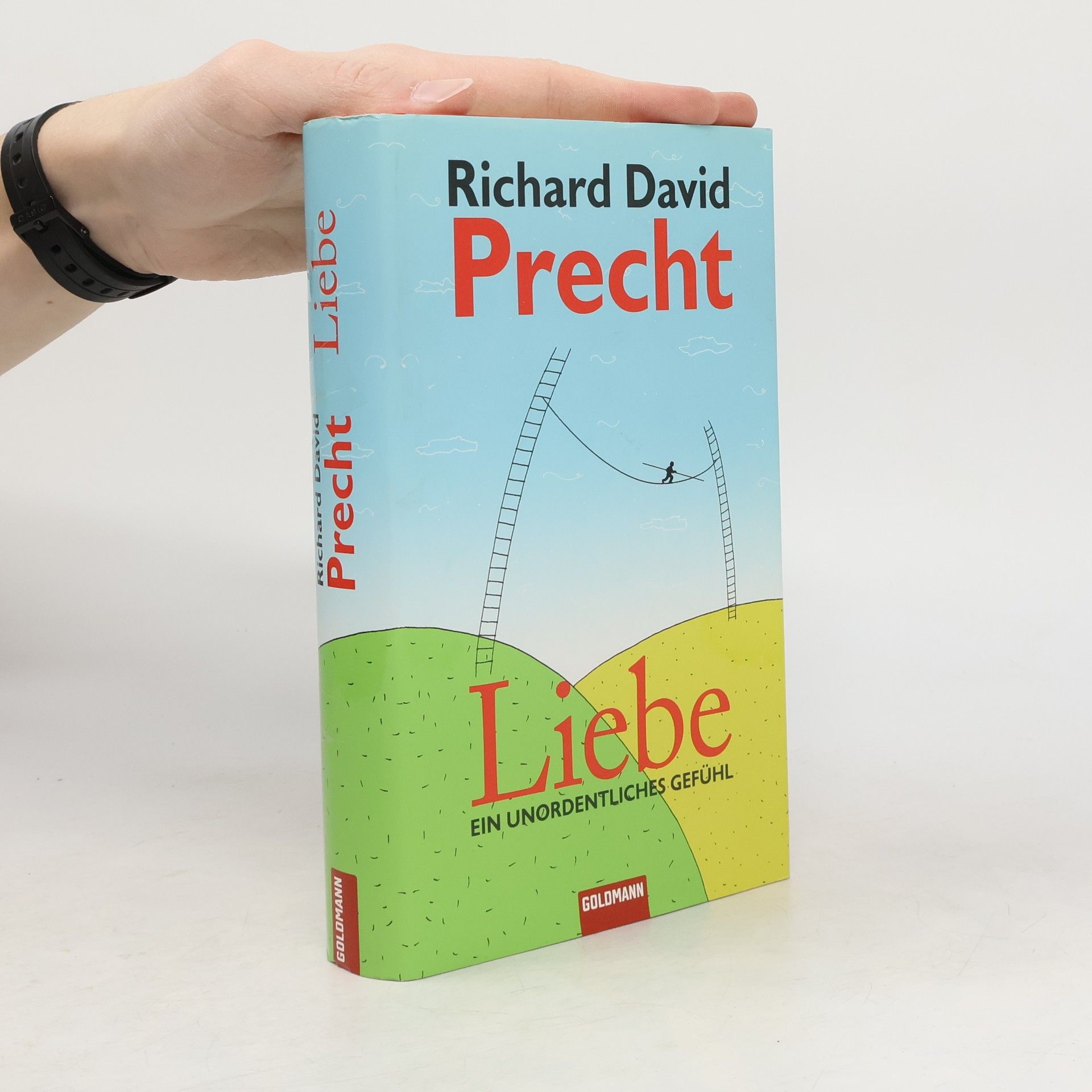 Richard David Precht Liebe ein Unordentliches Gefühl