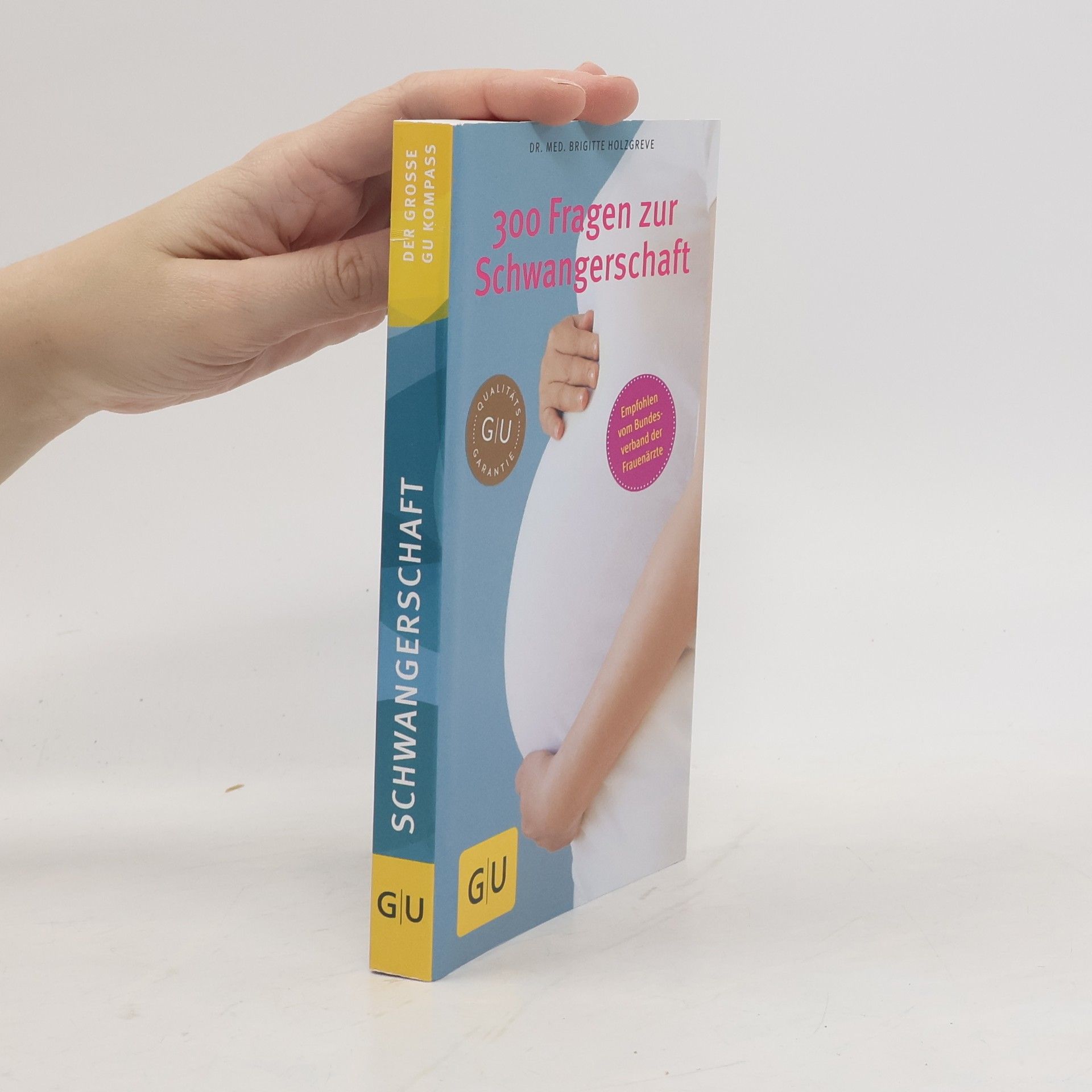 Brigitte Holzgreve 300 Fragen zur Schwangerschaft
