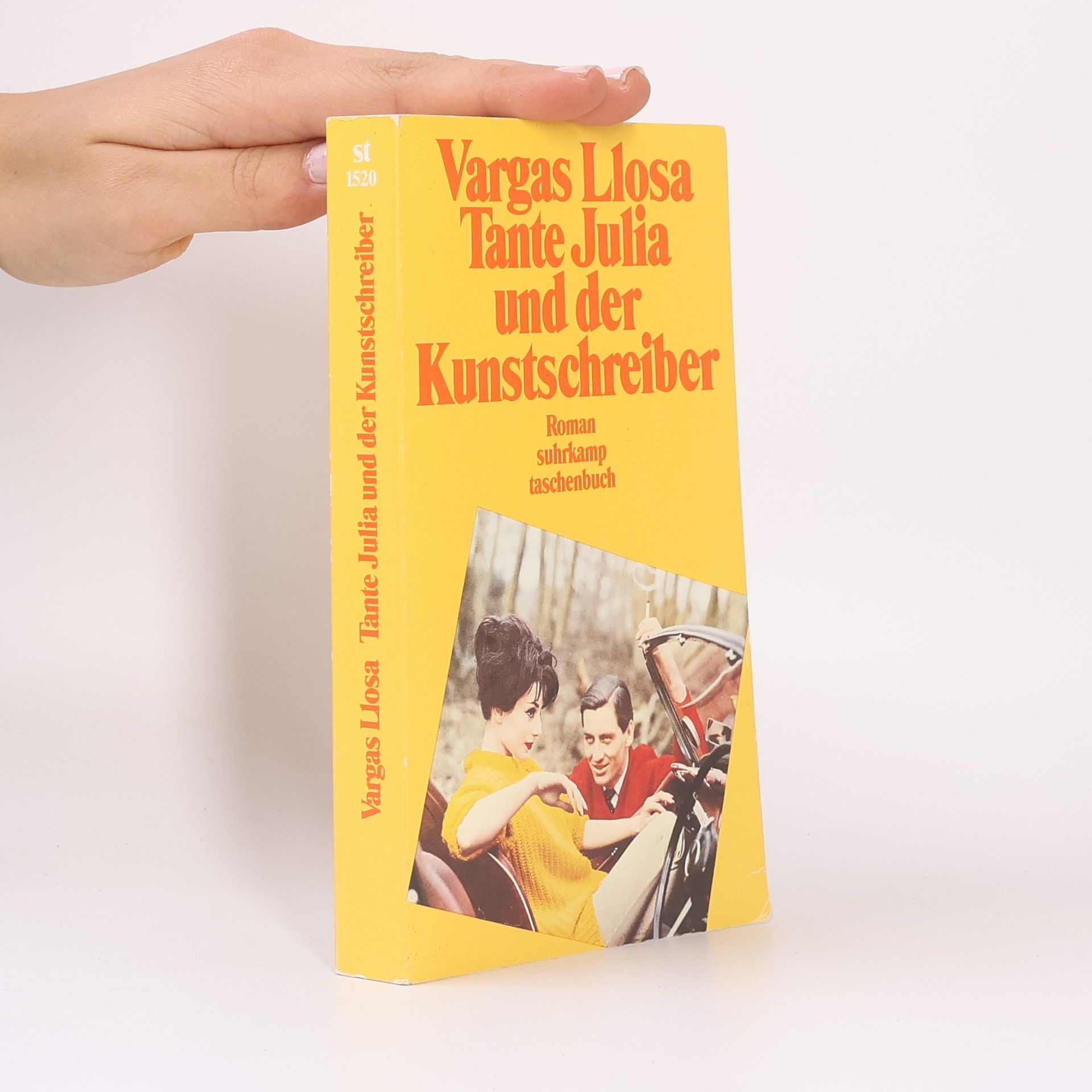 Mario Vargas Llosa Tante Julia und der Kunstschreiber