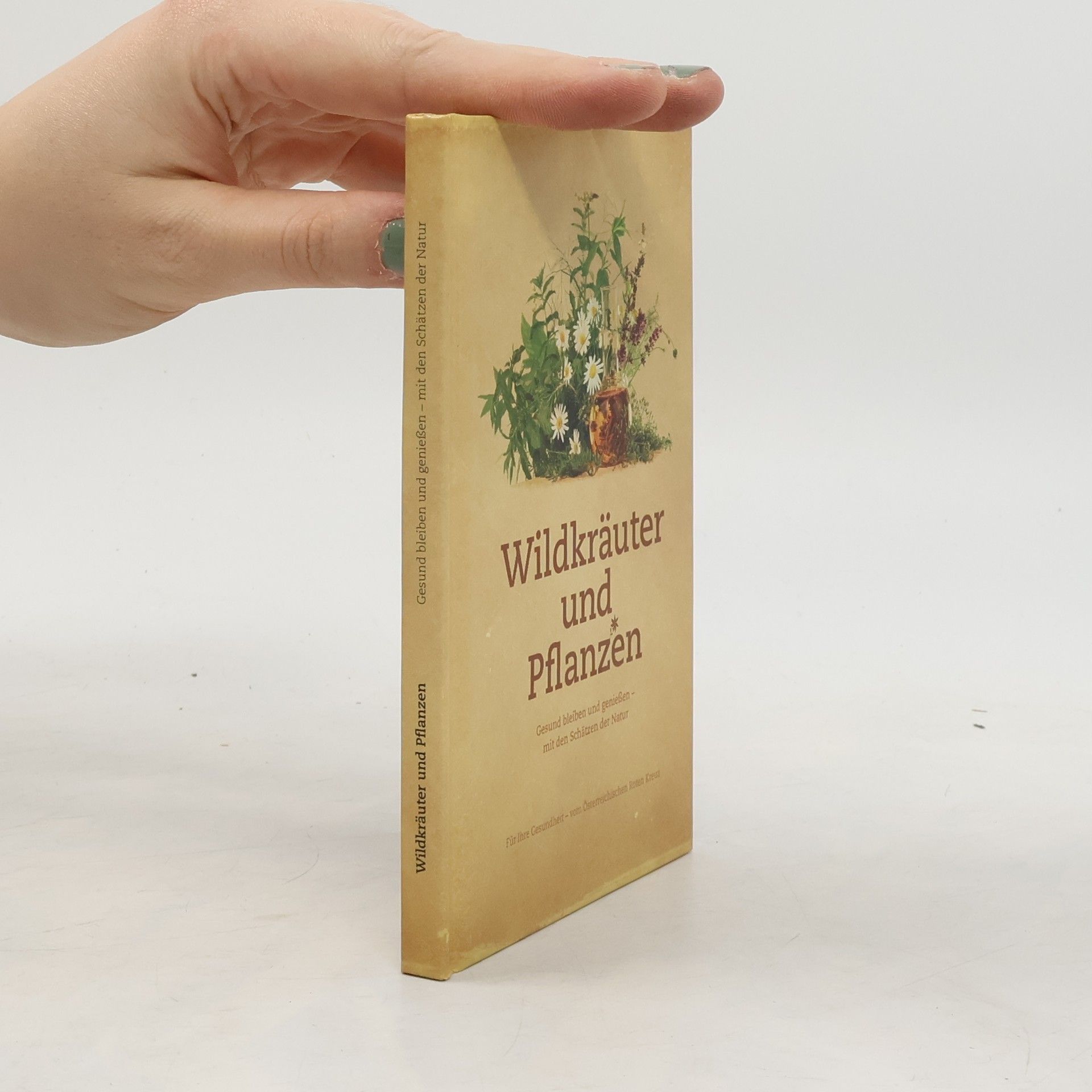 Doris Berger Wildkräuter und Pflanzen