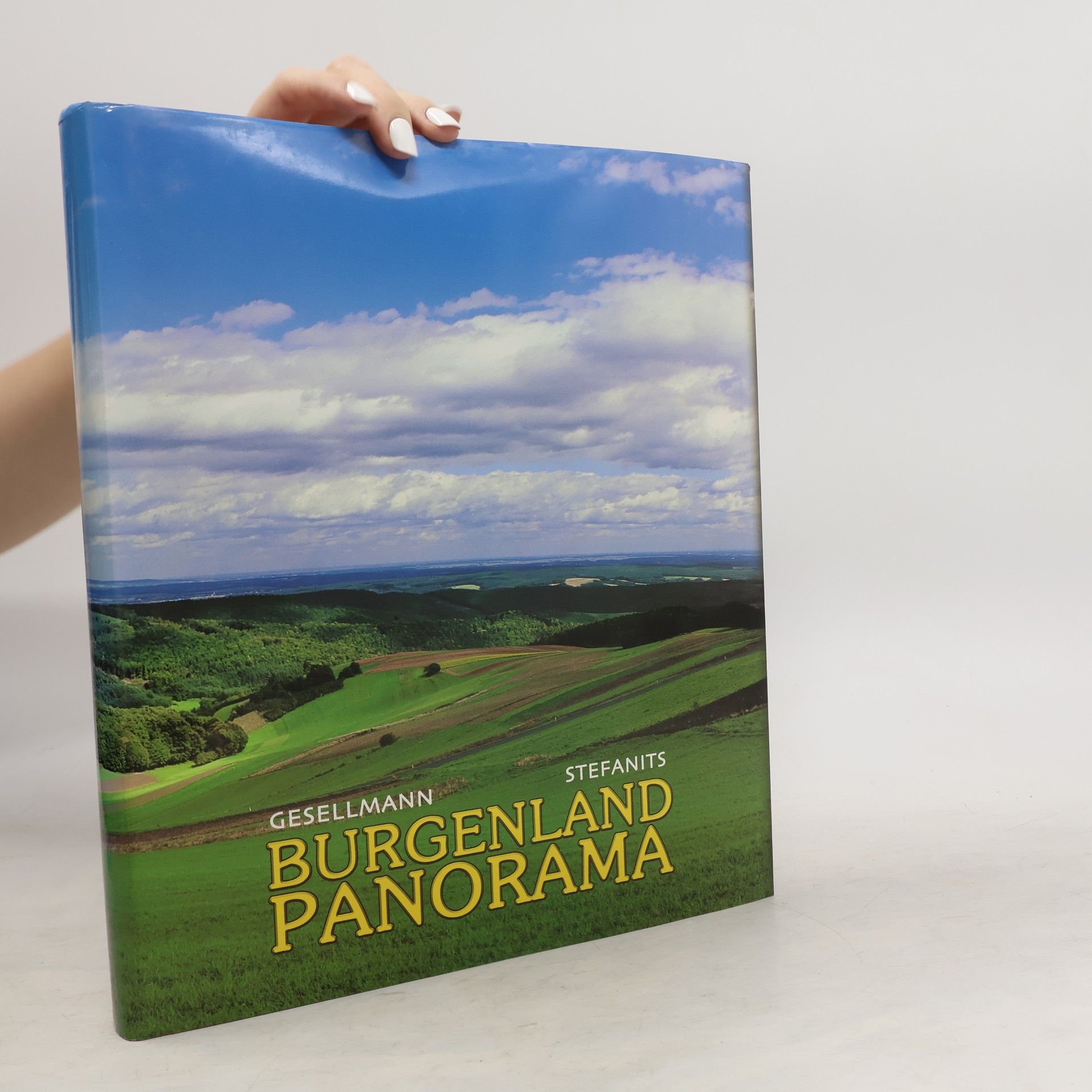 Stefanits Gesellmann Burgenland panorama