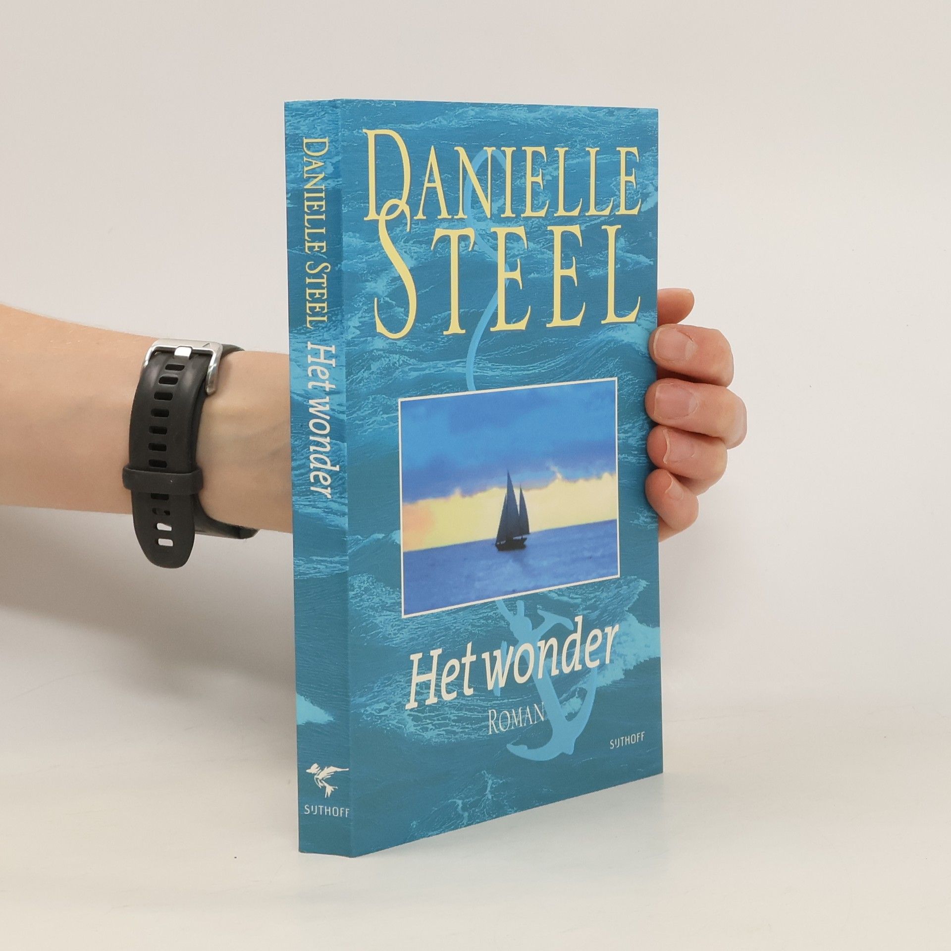 Danielle Steel Het wonder
