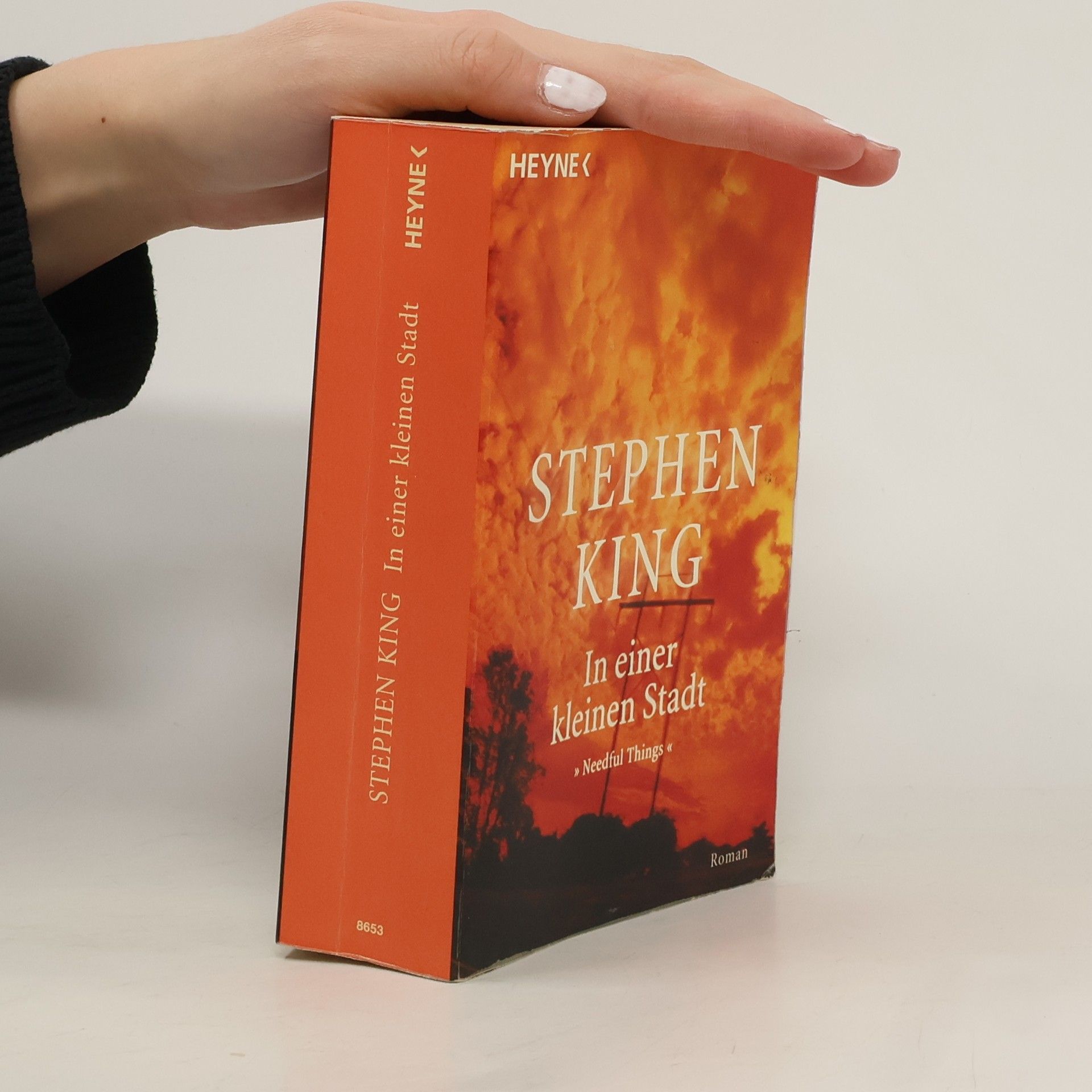 Stephen King In einer kleinen Stadt : Roman