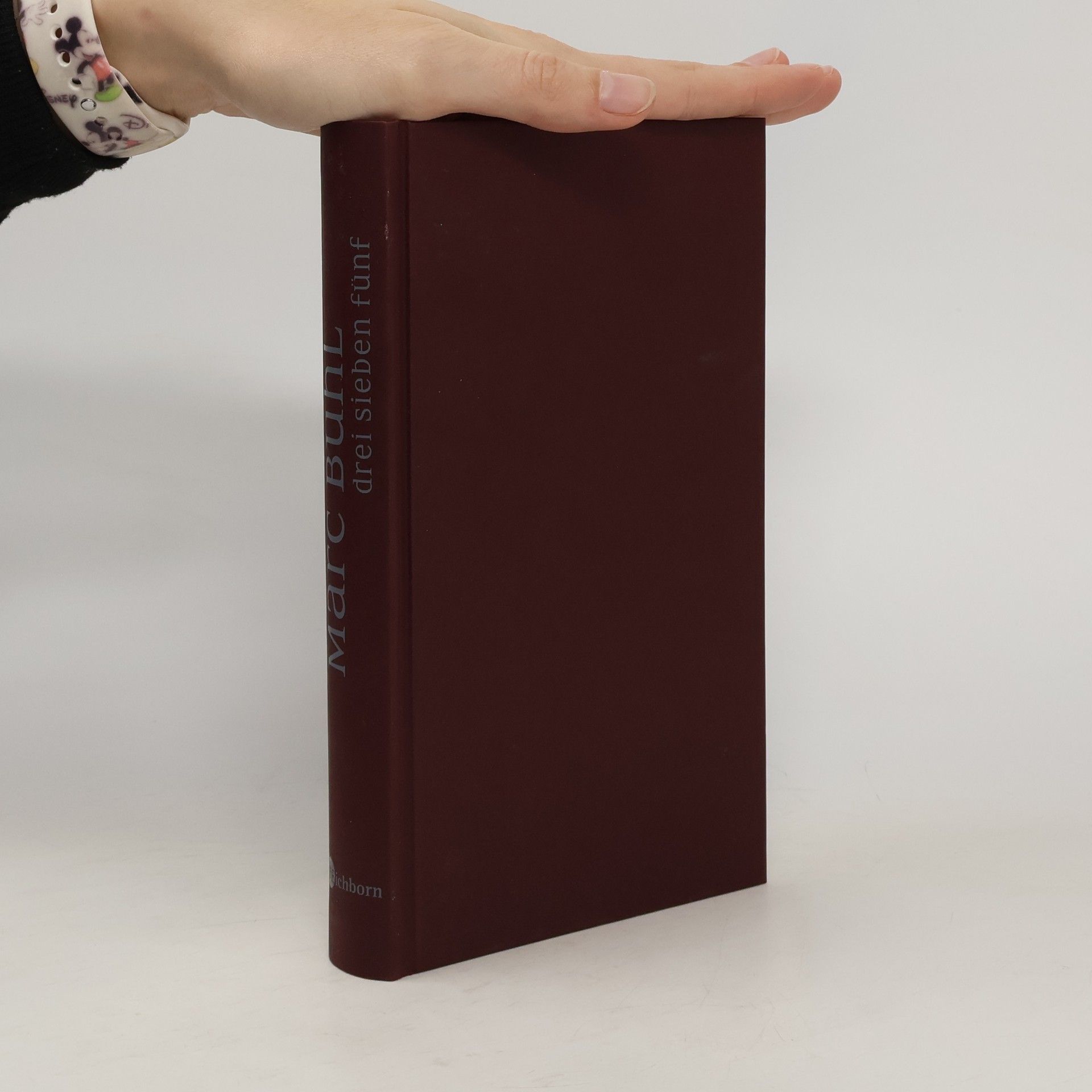 Versuch über die wahre Liebe