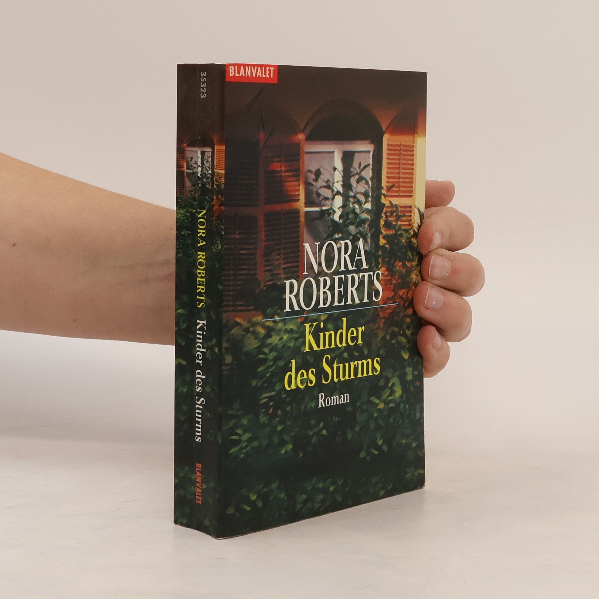 Nora Roberts Kinder des Sturms