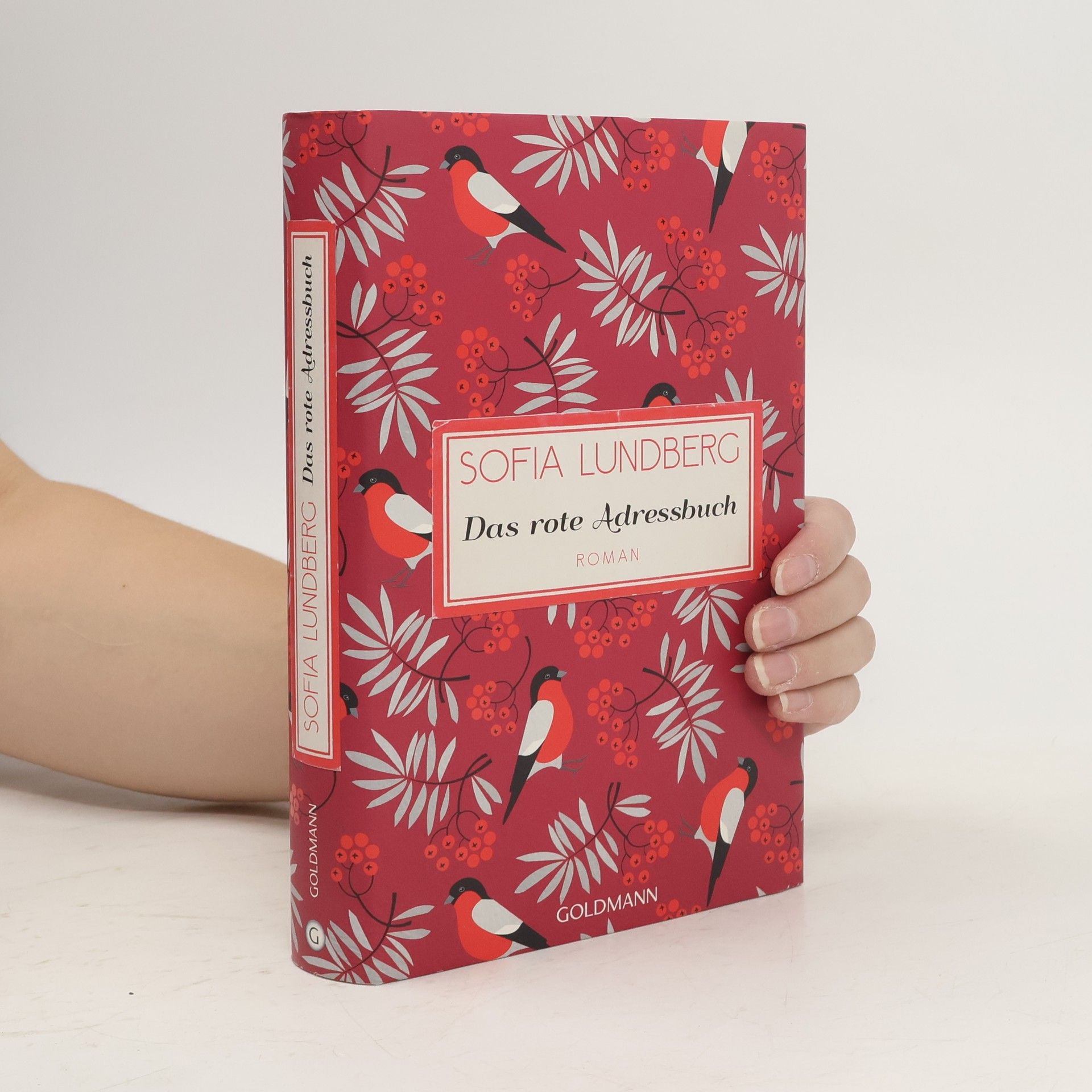 Sofia Lundberg Das rote Adressbuch